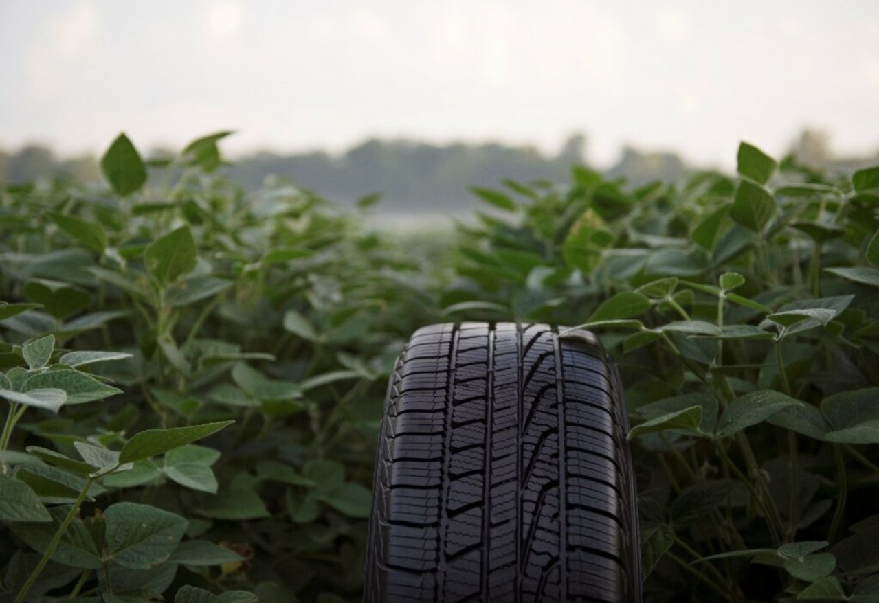 Goodyear tire company makes tires using soybean oil instead of petroleum
