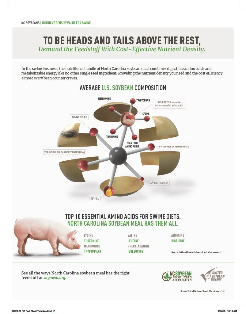 Infographic showing the nutrient composition of North Carolina soybeans, highlighting amino acids for swine diets, with a pig illustration and emphasis on essential amino acids like lysine, methionine, tryptophan, valine, leucine, arginine, threonine, phenylalanine, and isoleucine.