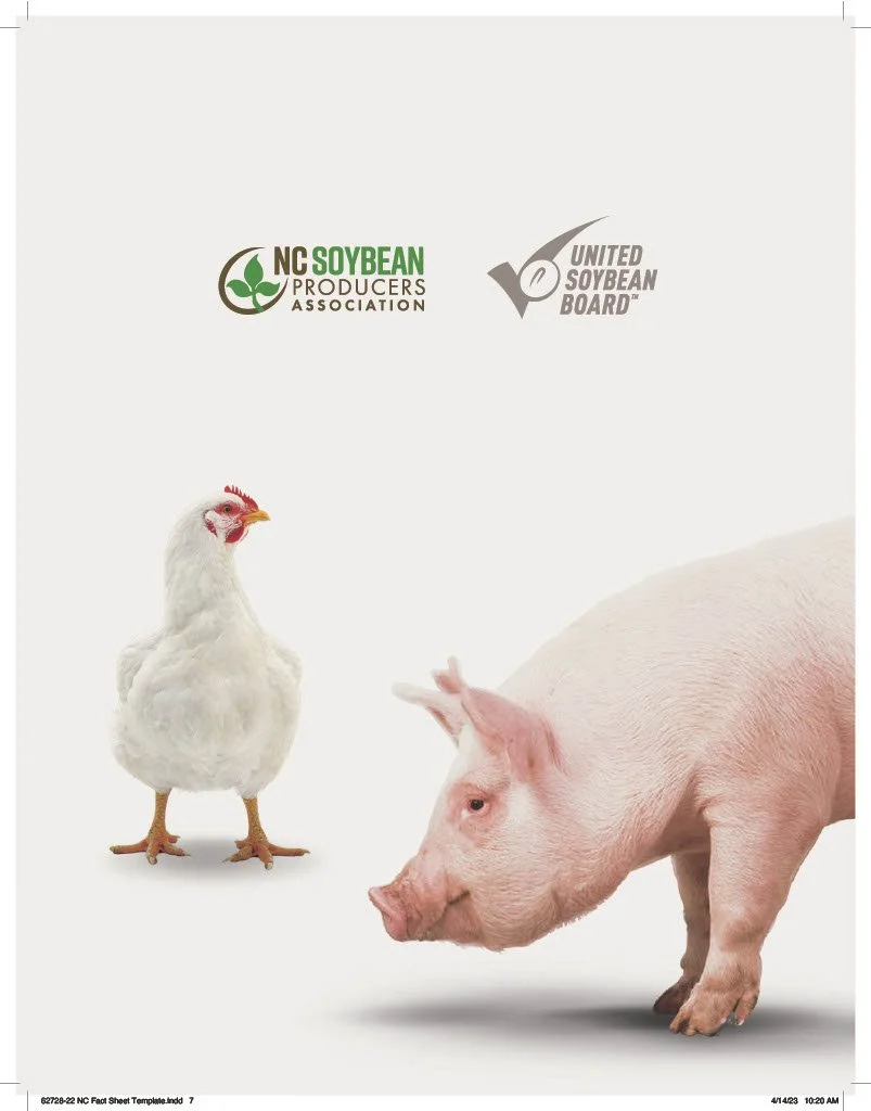 A chicken and a pig facing each other against a white background, with logos of the NC Soybean Producers Association and the United Soybean Board at the top.