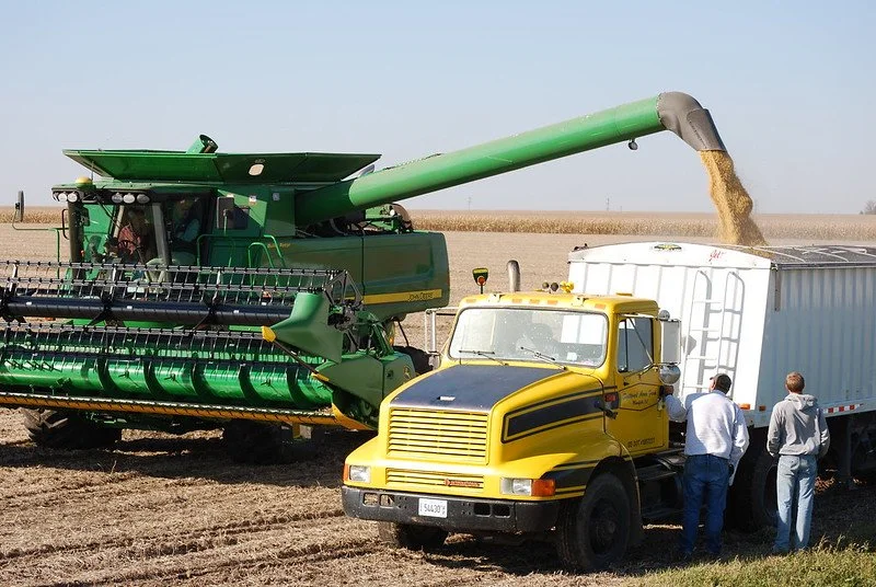 Farmers transfer harvested soybean from a combine harvester into a grain truck.