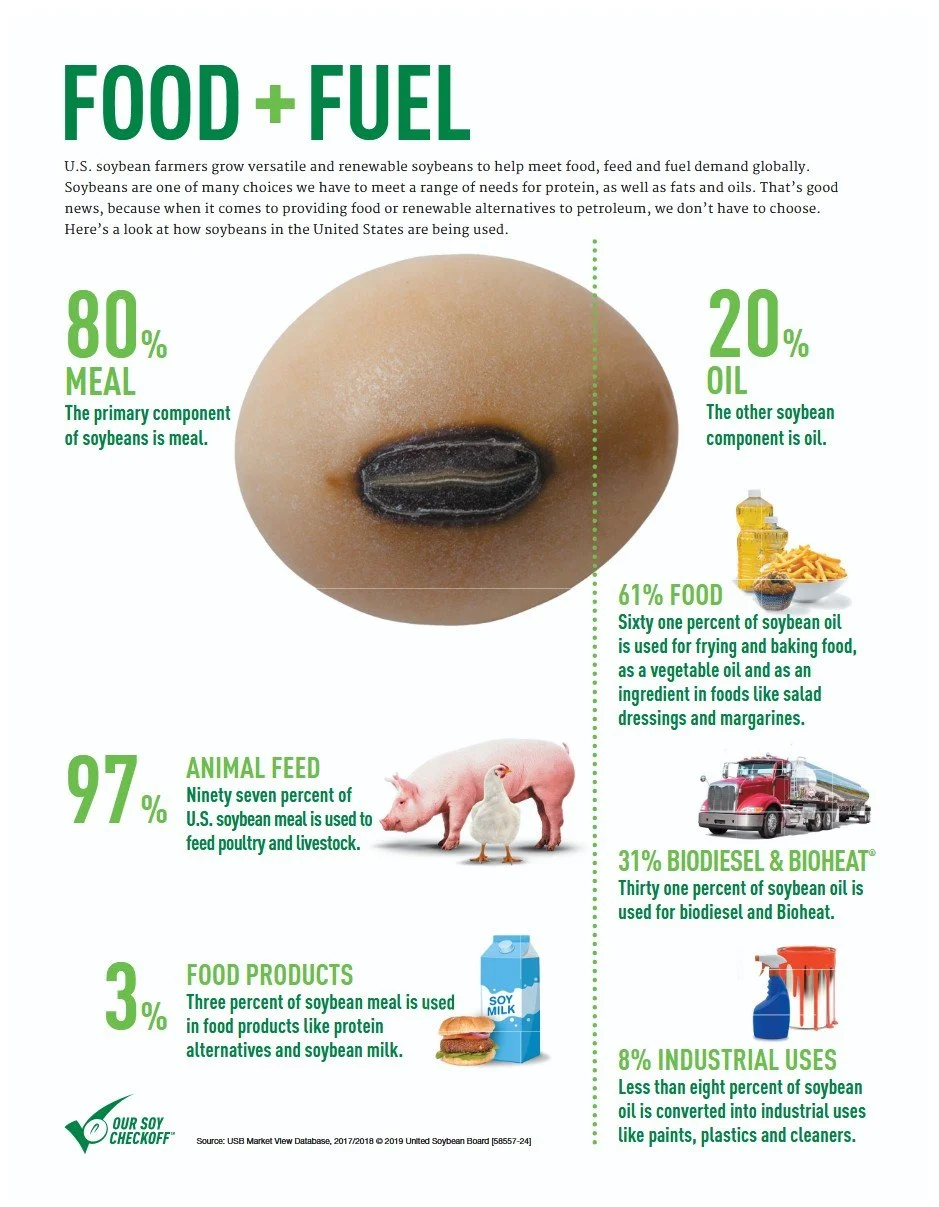Infographic titled 'Food + Fuel' showing soybean usage in the U.S. with a picture of a soybean, pigs, a carton of soy milk, biodiesel truck, and spray bottles, detailing percentages for meal, oil, animal feed, food products, biodiesel, and industrial uses.