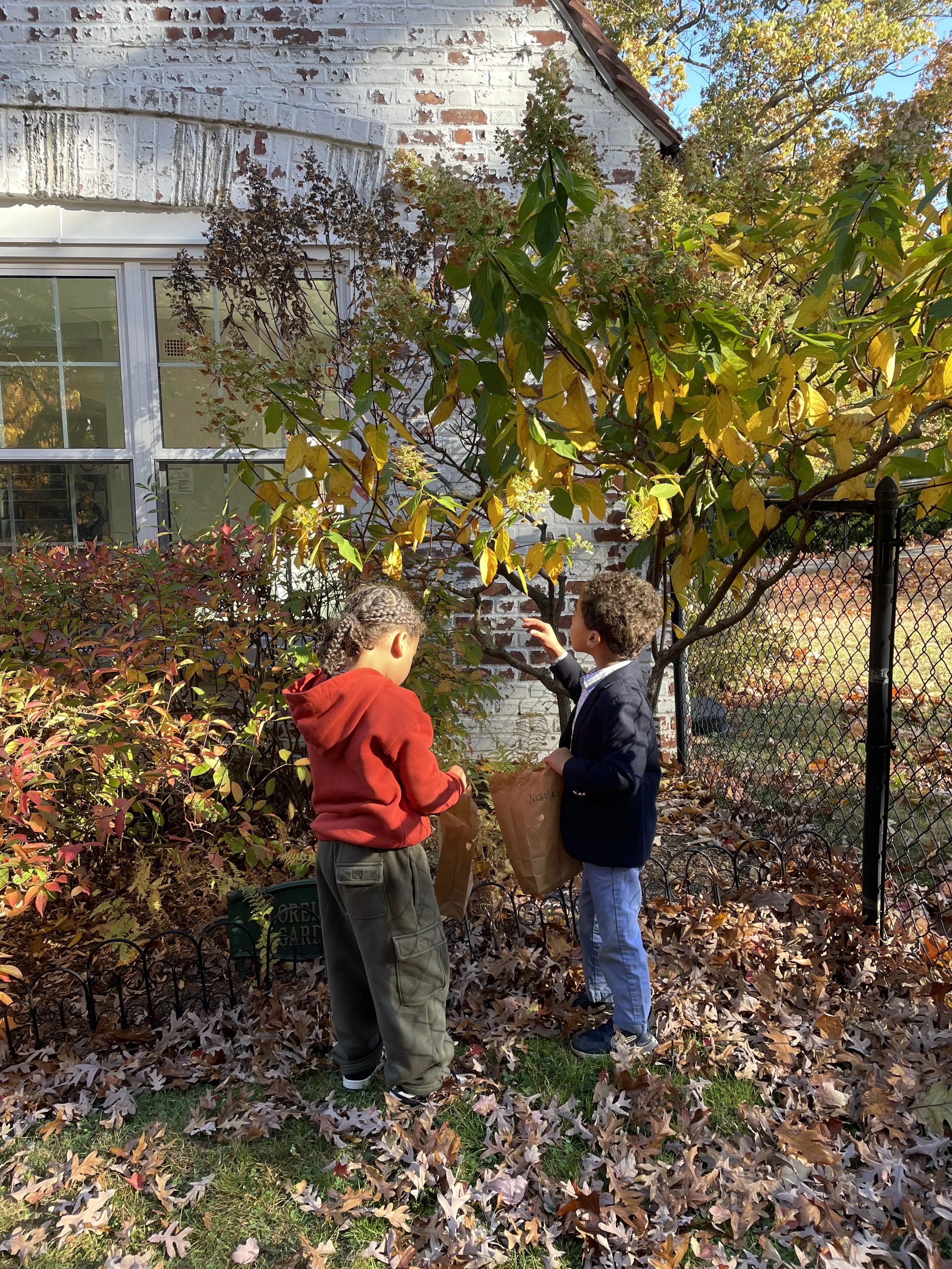 Molecular Literacy: Paint based education for 3-8