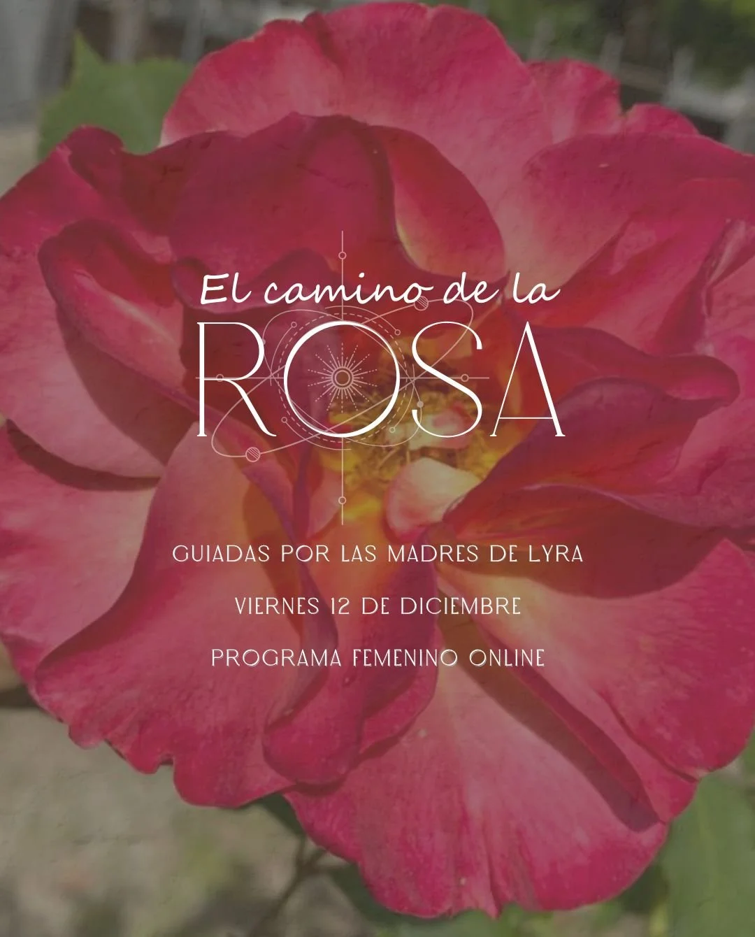 El camino de la Rosa ~ Guiadas por las Madres de Lyra