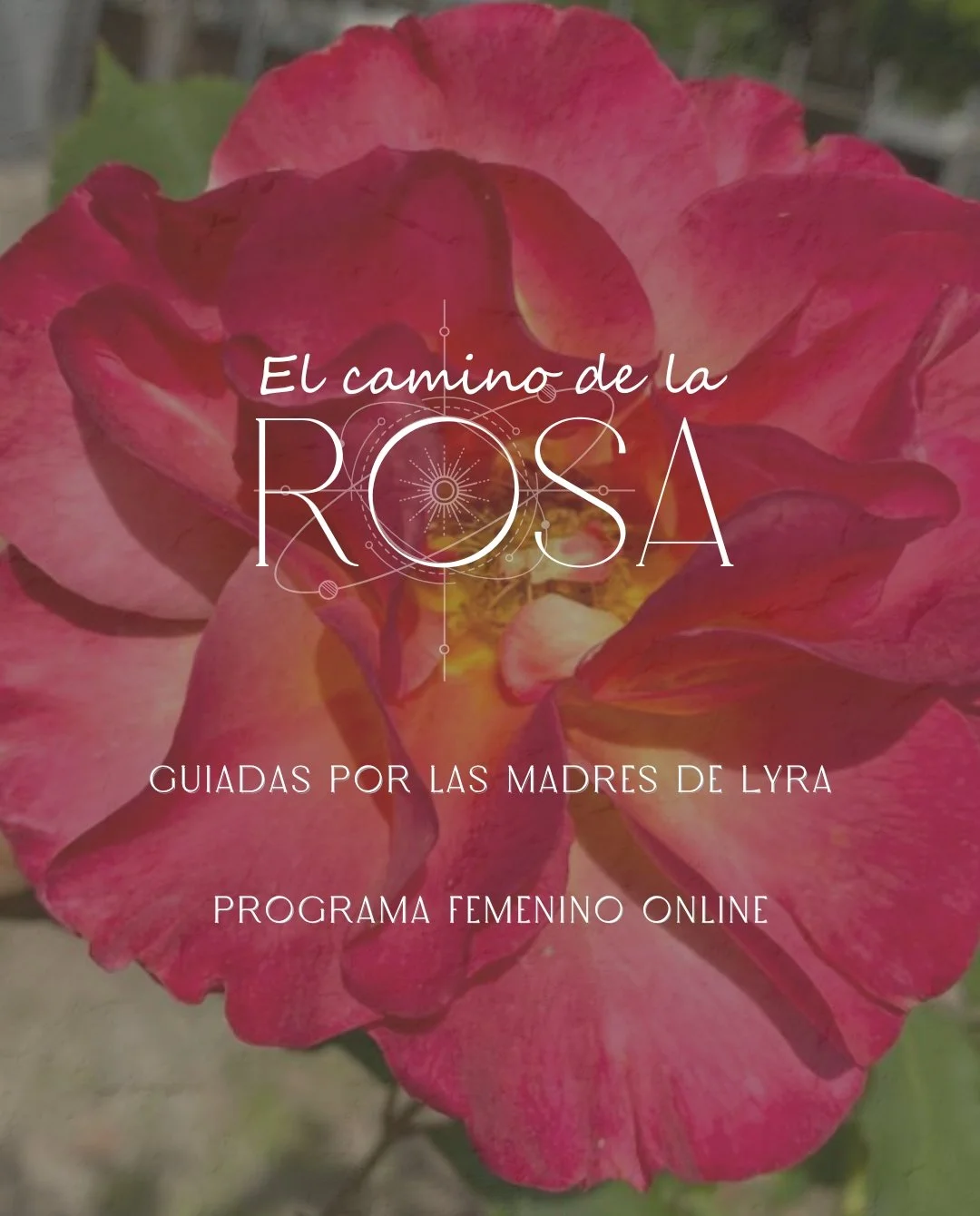 El camino de la Rosa ~ Guiadas por las Madres de Lyra