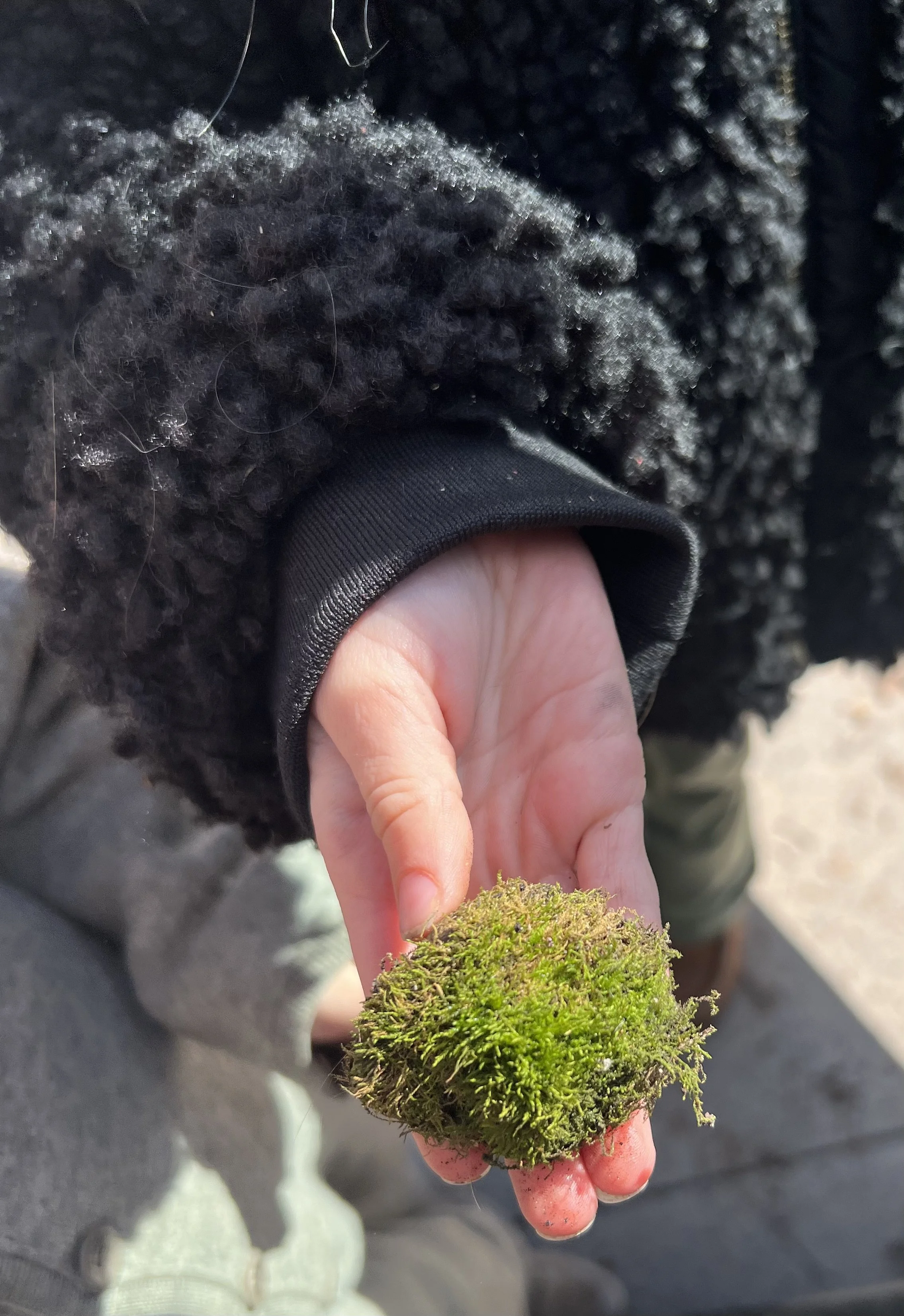 St. Croix Day School