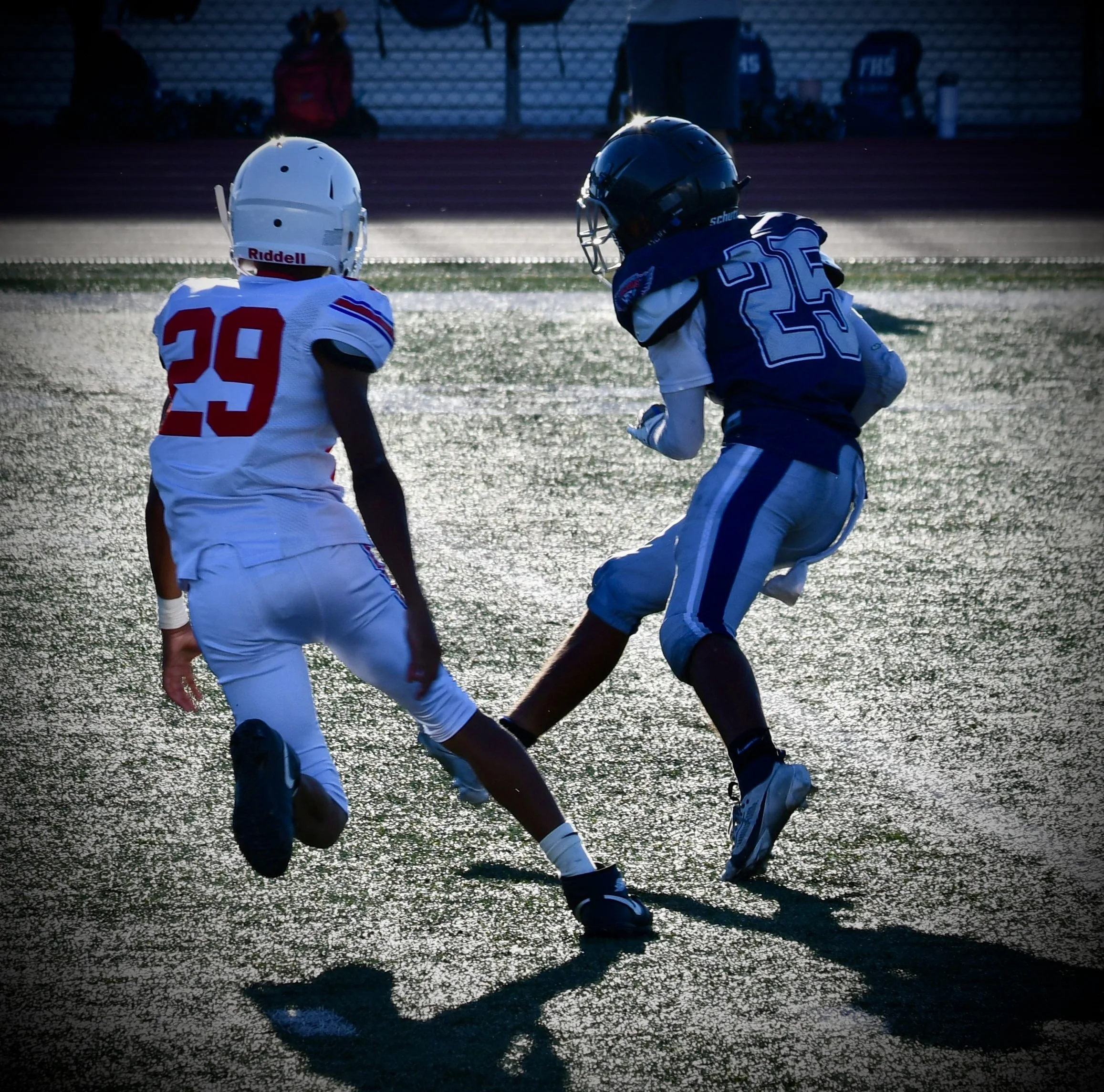 DSC_1937.jpg