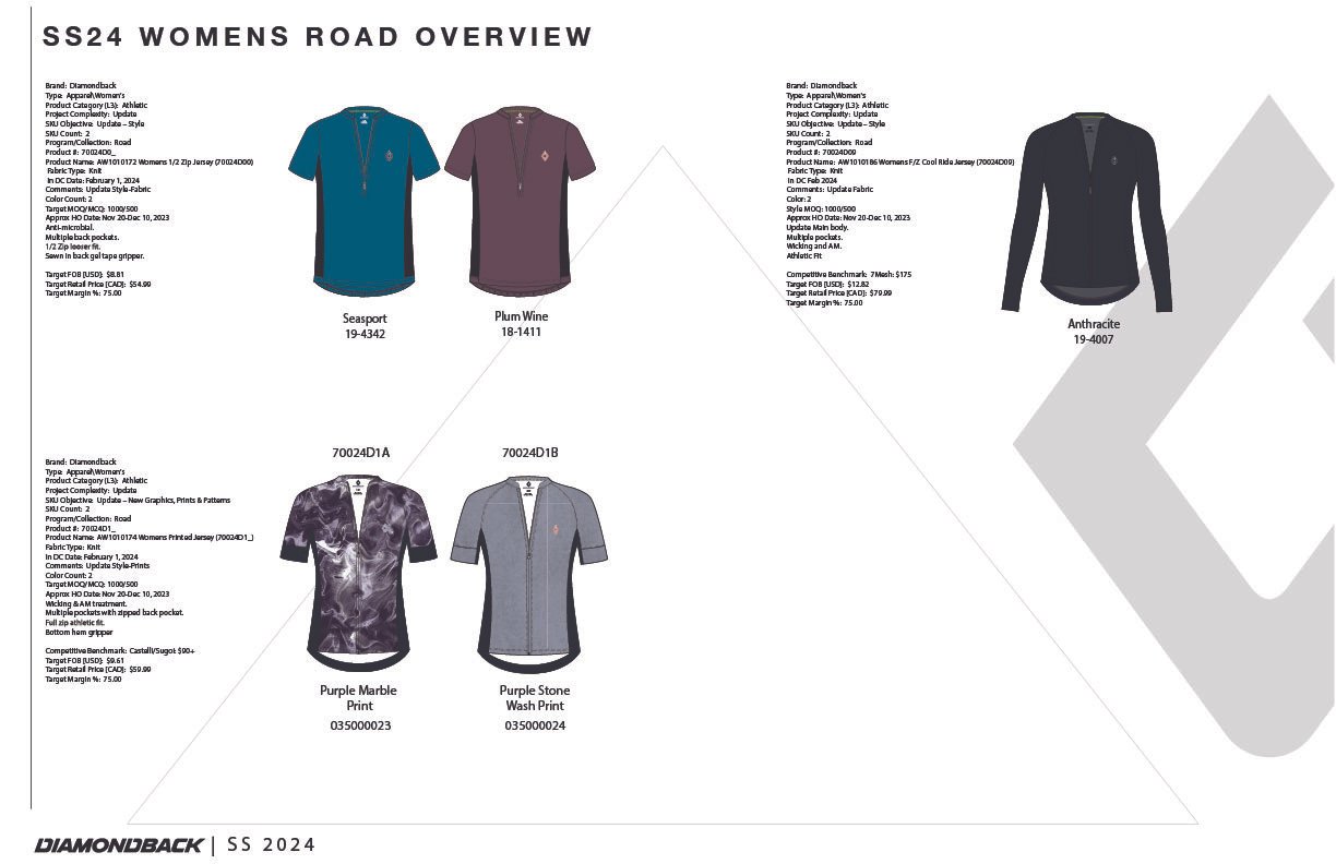 S24 DIAMONDBACK VLP OVERVIEW_AUG 24-04.jpg