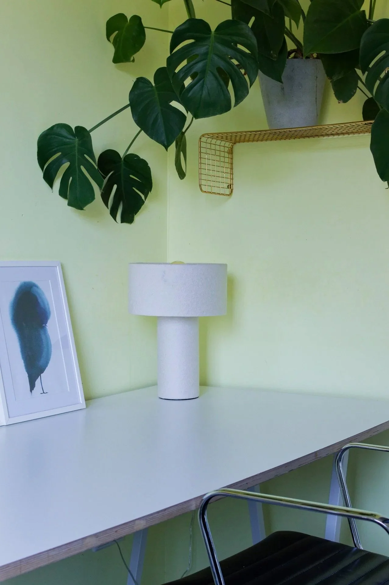 A minimalist interior scene featuring a white desk with a framed picture of a bird, a white cylindrical table lamp, a large clay pot with a Monstera plant, a gold wire wall shelf, and metal chairs against a light lime green wall.