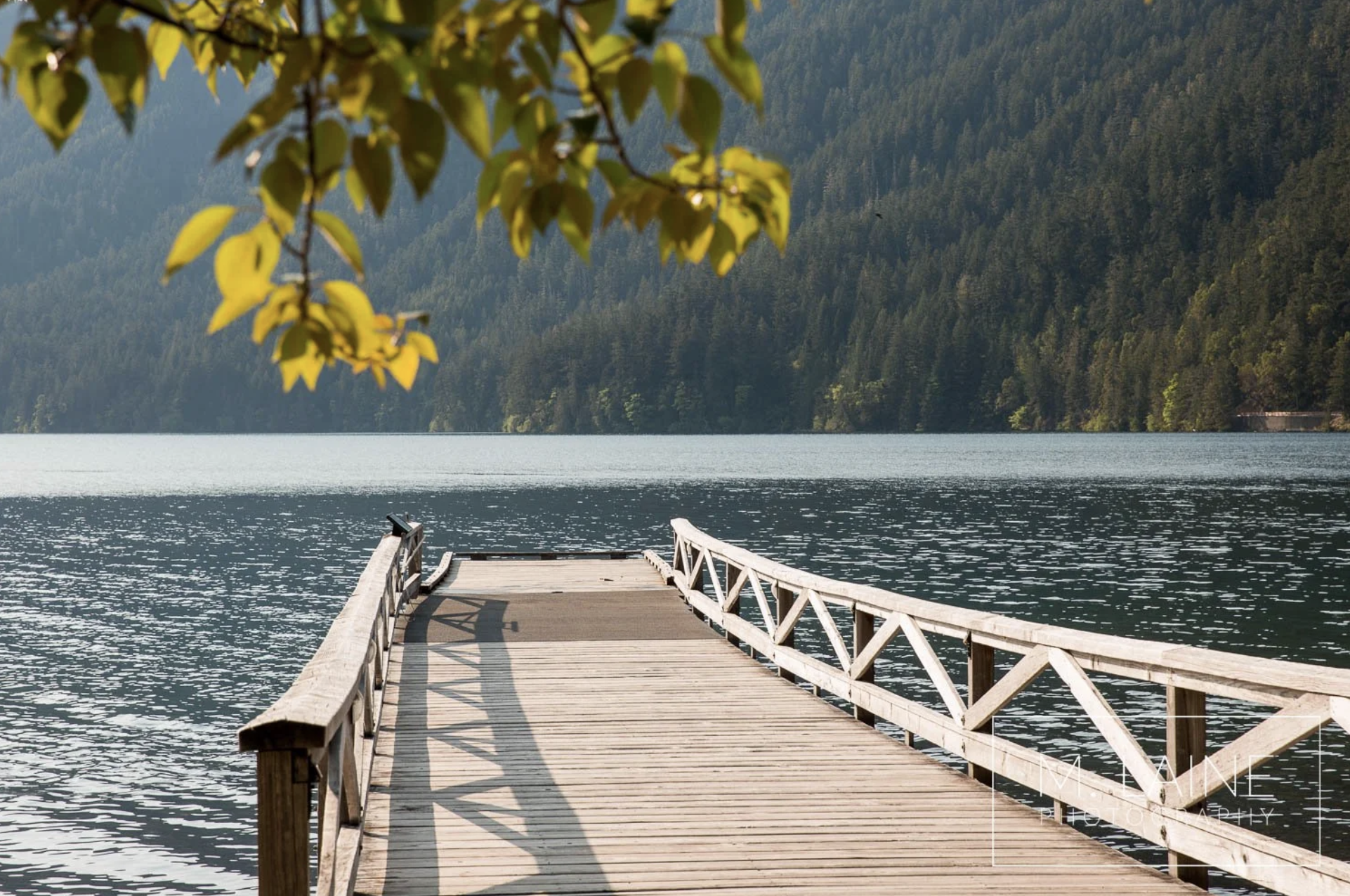 SAUNA & PLUNGE @ LAKE CRESCENT