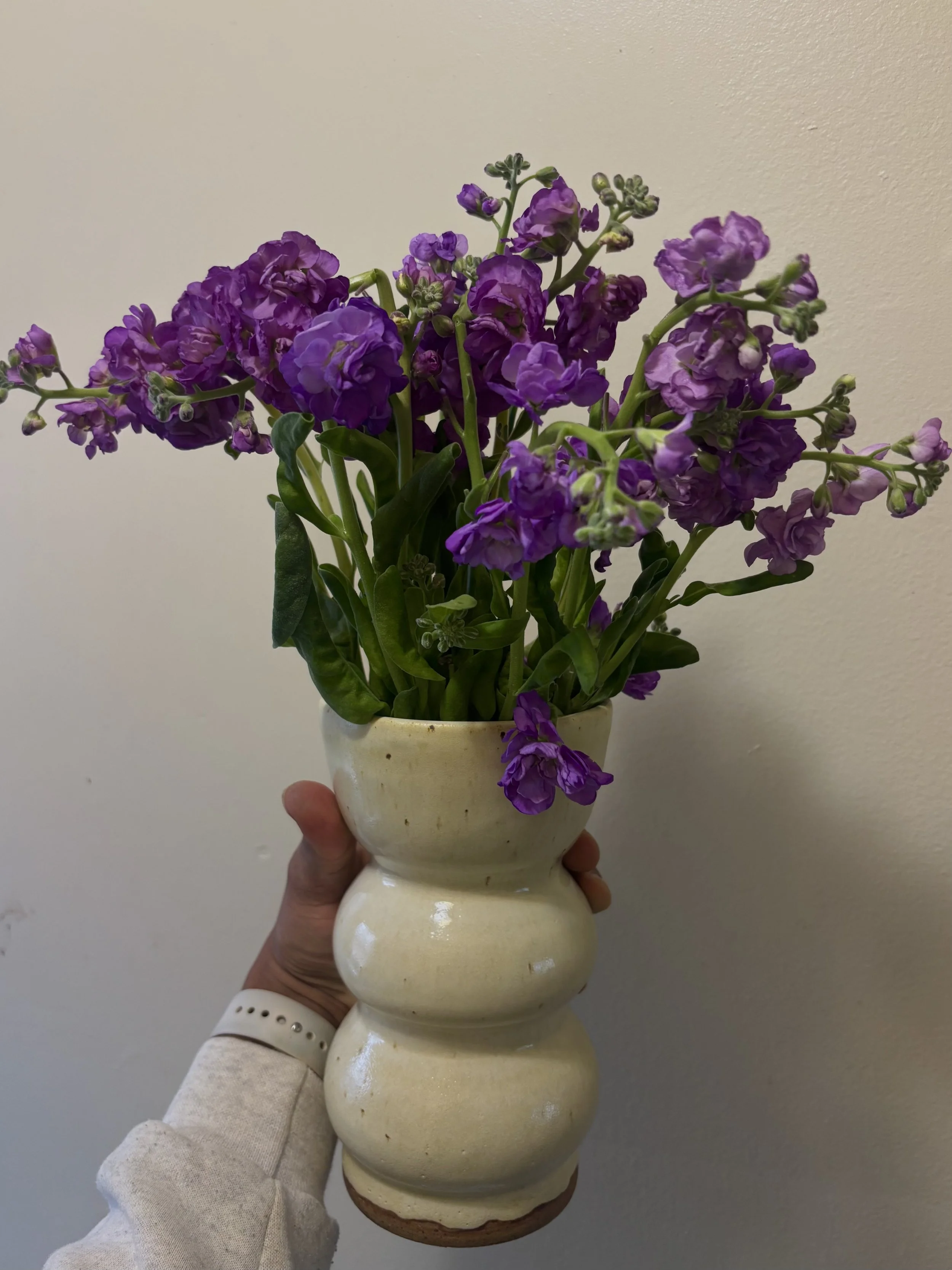 IMG_8576.jpeg