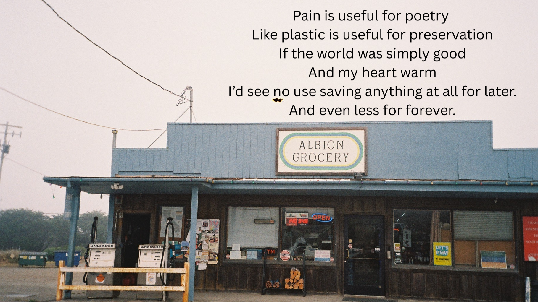 Plastic+Pain+is+useful+for+poetry+Like+plastic+is+useful+for+preservation+If+the+world+was+simply+good+And+my+heart+warm+I%E2%80%99d+see+no+use+saving+anything+at+all+for+later.+And+even+less+for+forever..png