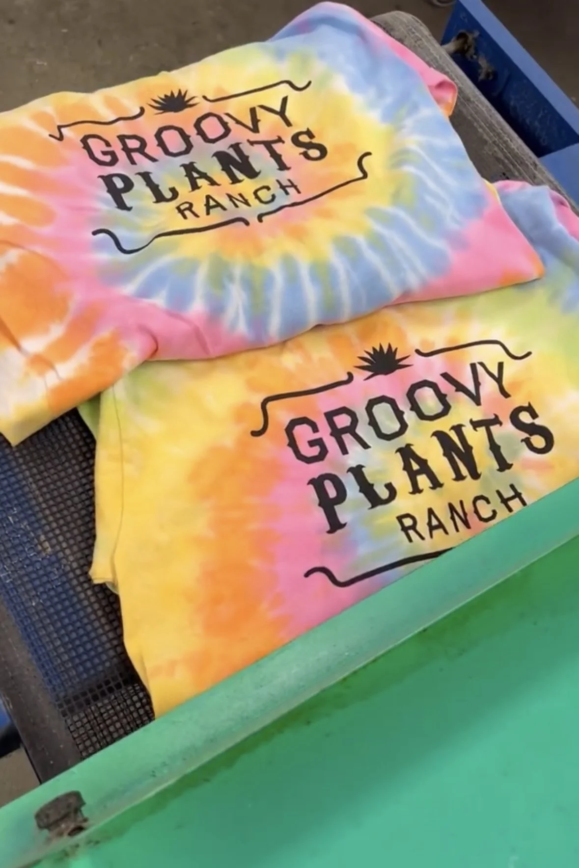 Identical printed shirts demonstrating consistent quality.