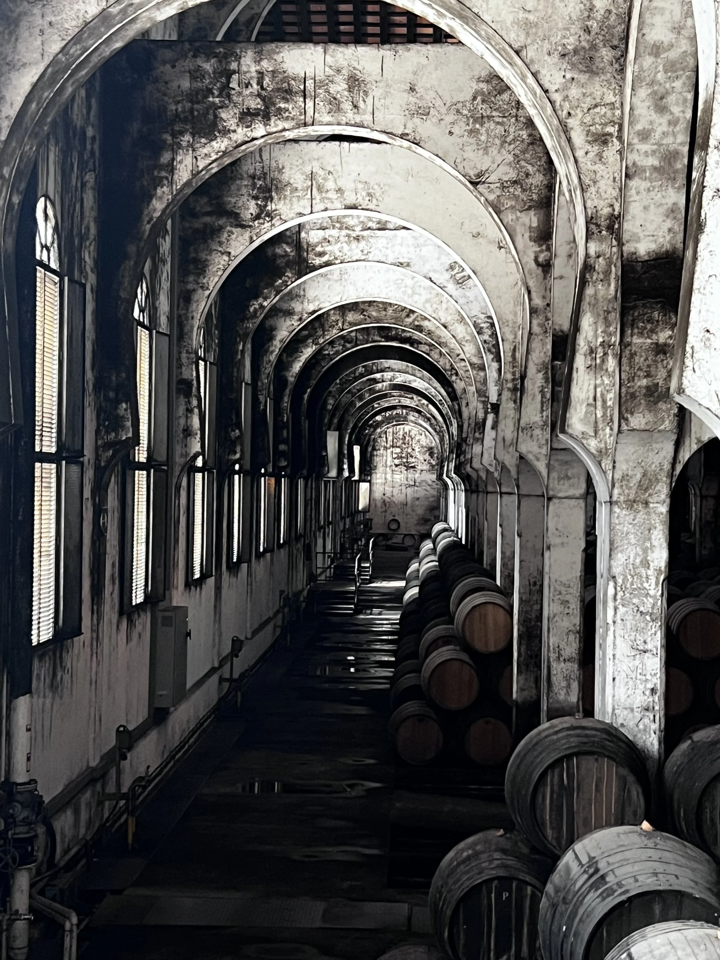 A long, arched corridor inside a winery, with barrels stacked along one side and windows on the opposite wall casting light into the space.
