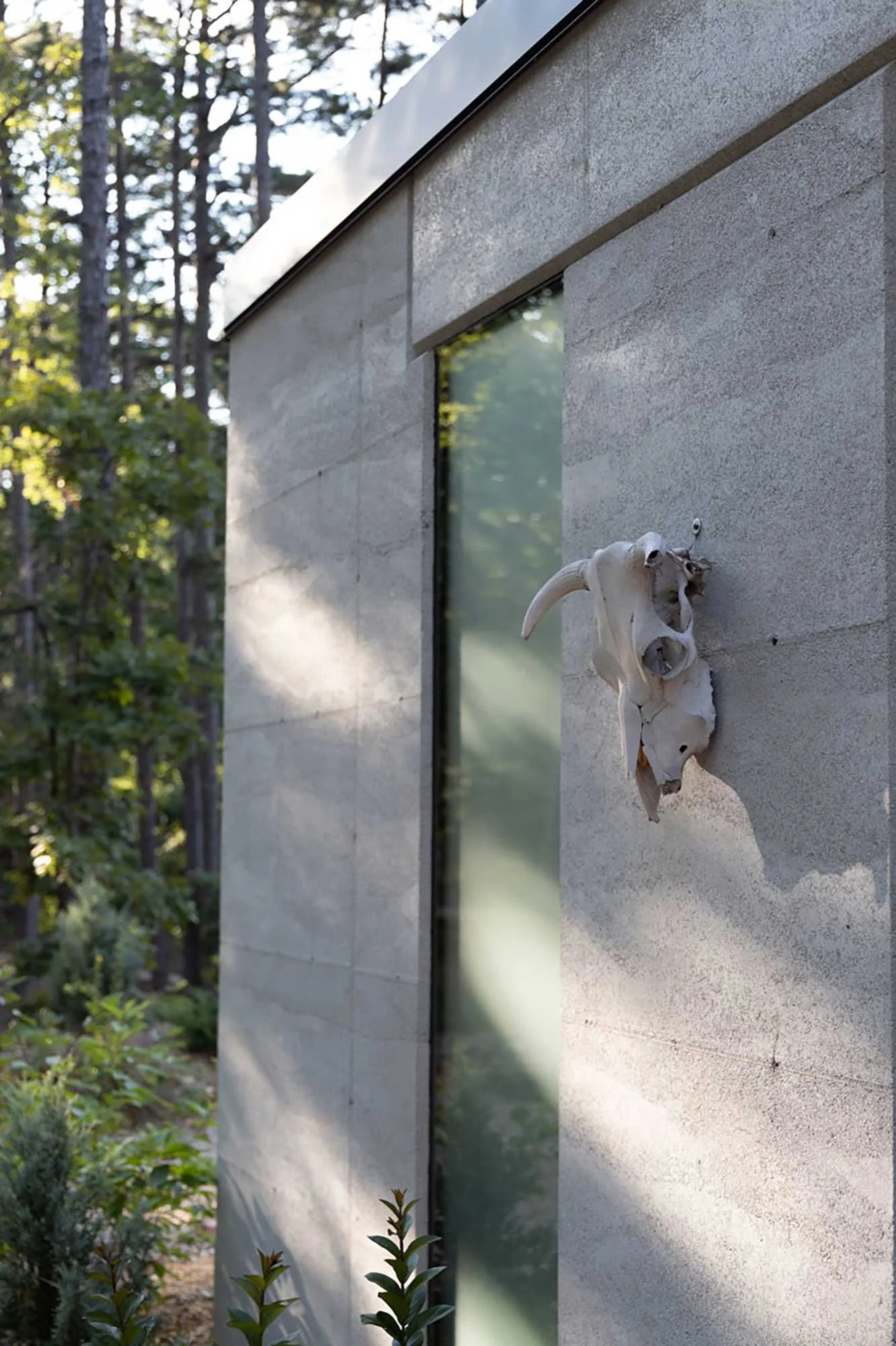 Off-white Rammed Earth exterior walls paired with dark metal trim.