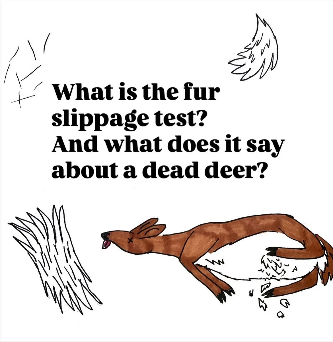 If you&rsquo;ve been following my content, you&rsquo;ll often hear me refer to &ldquo;the fur slippage test.&rdquo; What exactly do I mean by fur slippage? 
Fur slippage is when the hairs on a deer&rsquo;s hide fall out in large clumps. This happens 