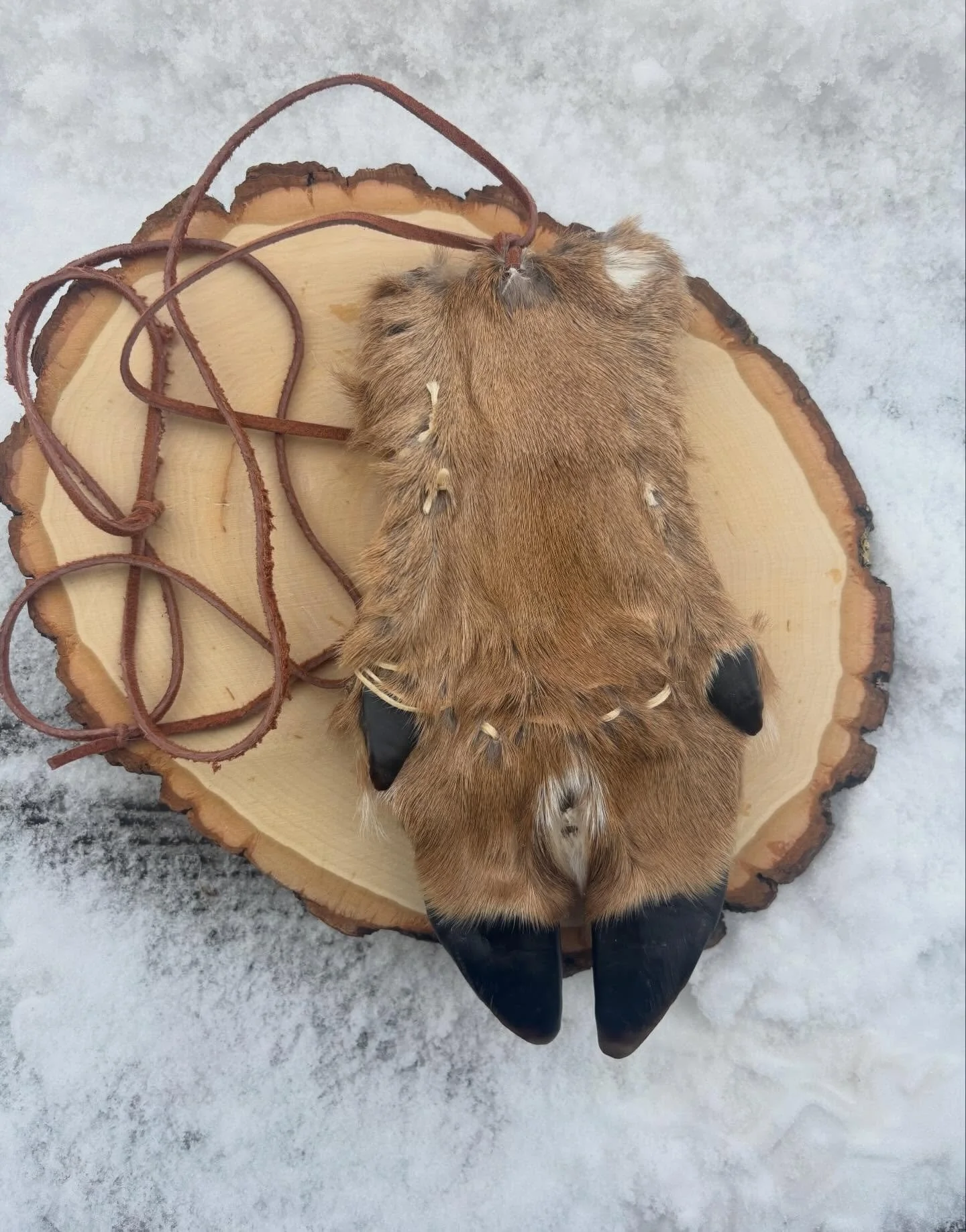 Deer hoof pouch. Made from two deer hocks sewn together. 

#wildcrafting #roadkillart #vultureculture #taxidermy #primitive