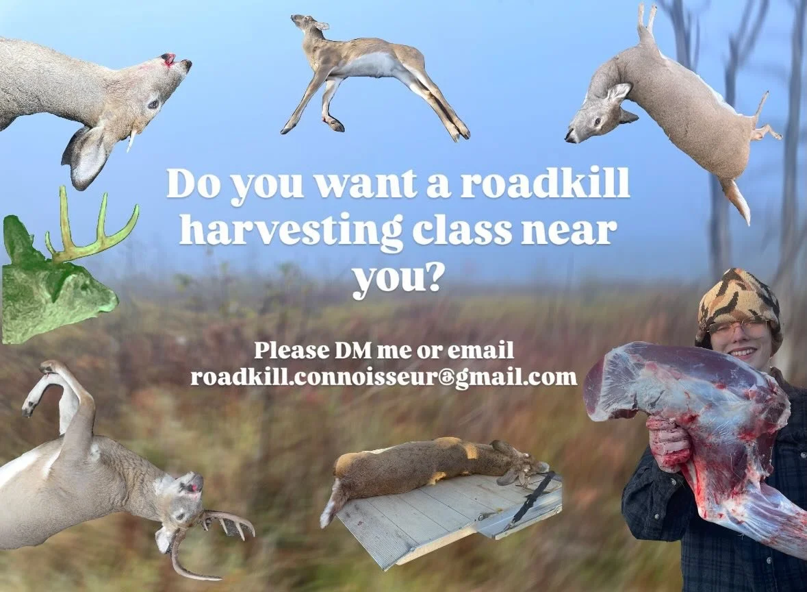 Hello scavengers! I am currently figuring out my 2026 class schedule. As of now, I am teaching in the following places in Michigan: Kalamazoo, Scotts, Plainwell, and Hartford. However, I want to teach classes elsewhere, and would love to know where I