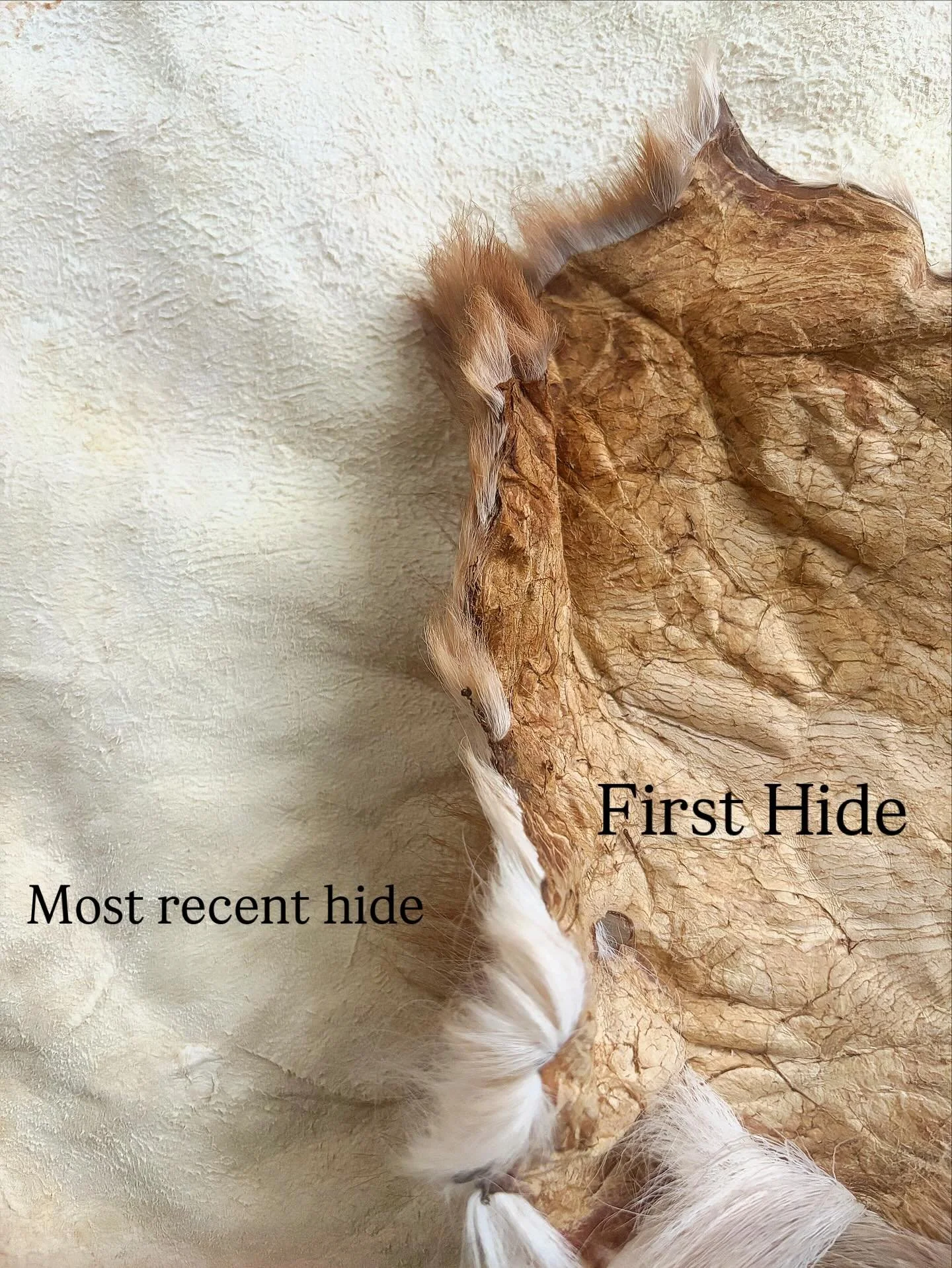 Hide tanning is one of those hobbies where practice makes you nearly perfect. 

The hide on the right is the first I ever tanned. It came from a roadkill doe that my friend had salvaged. We visited another friend&rsquo;s place, and had a little hide 