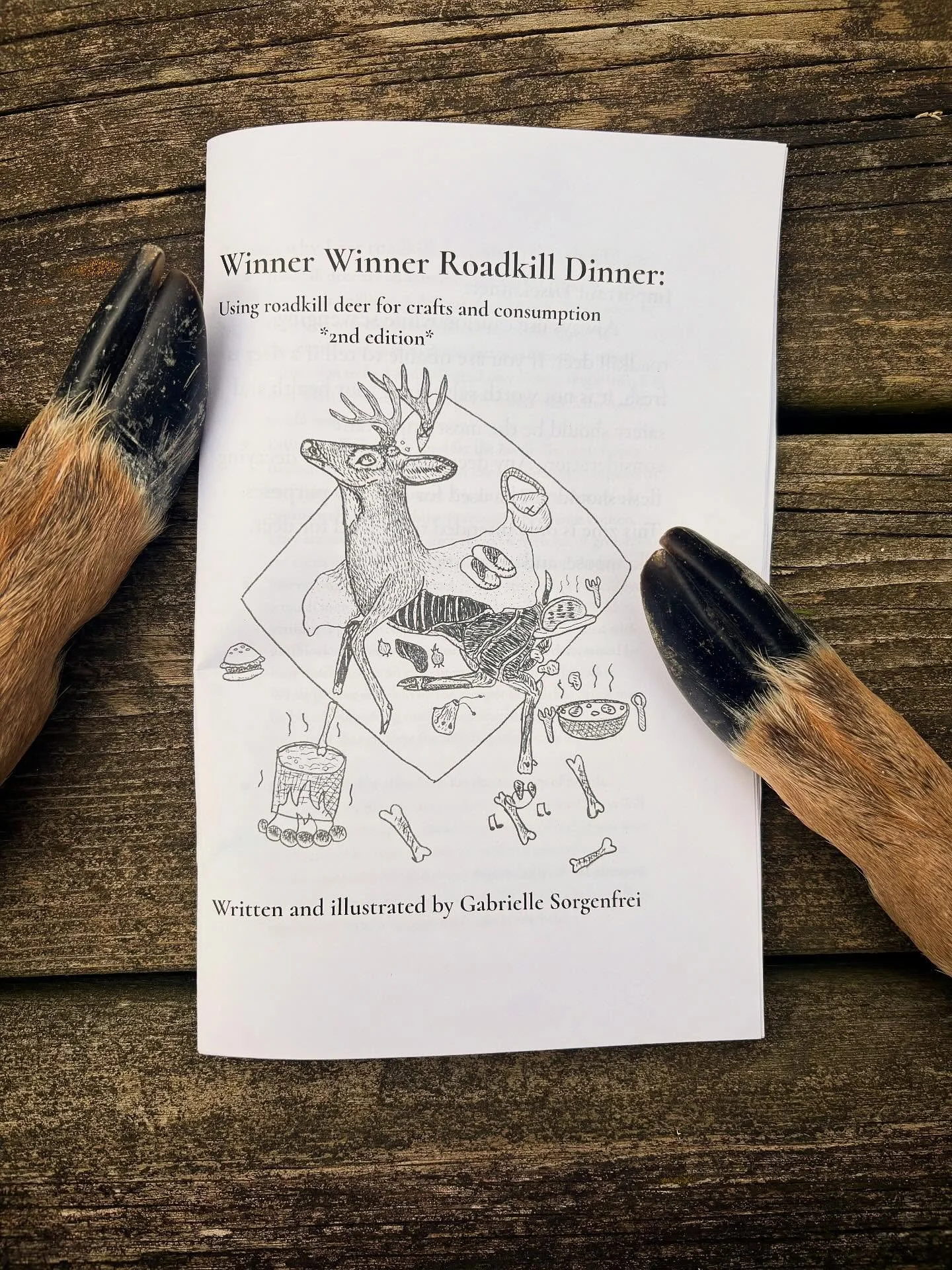 The roadkill zine has returned!!! My second edition of Winner Winner Roadkill Dinner is now in print! I will have copies available at my upcoming roadkill class (see my class schedule for more info) on April 19th! The only cost will be a donation tow