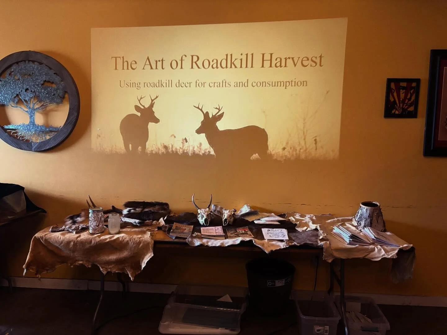 My first roadkill class of the 2026 ❤️ Thank you @artes_and_craft for letting me teach an Introduction to using roadkill deer for crafts and consumption!