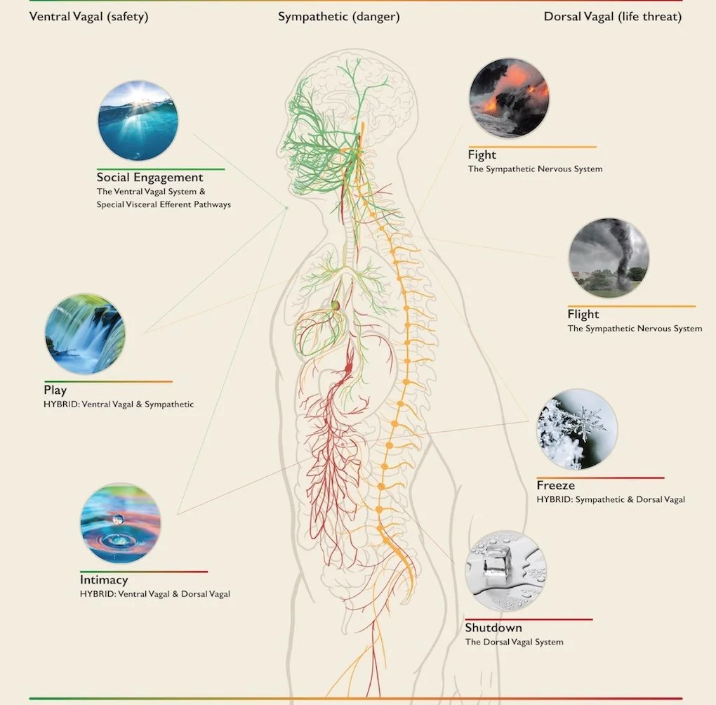 When mindset fails: why the nervous system is key to treating public speaking nerves.