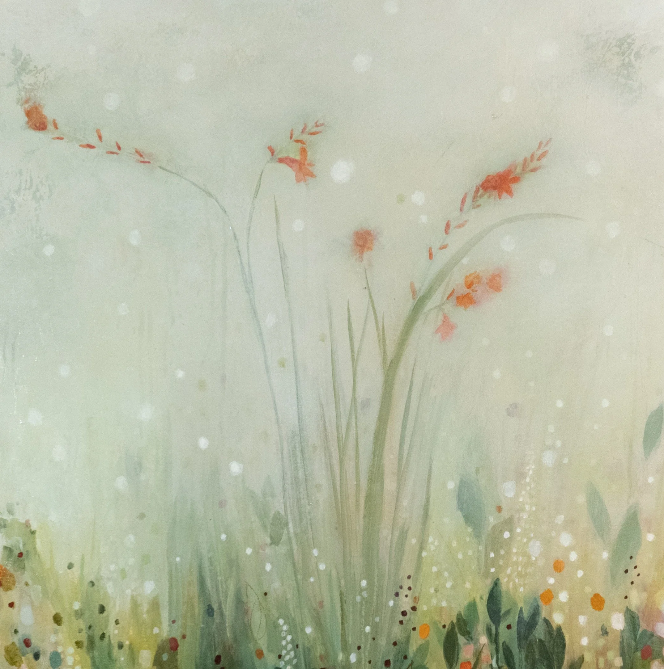 DSC02503 - Copy (2).jpg