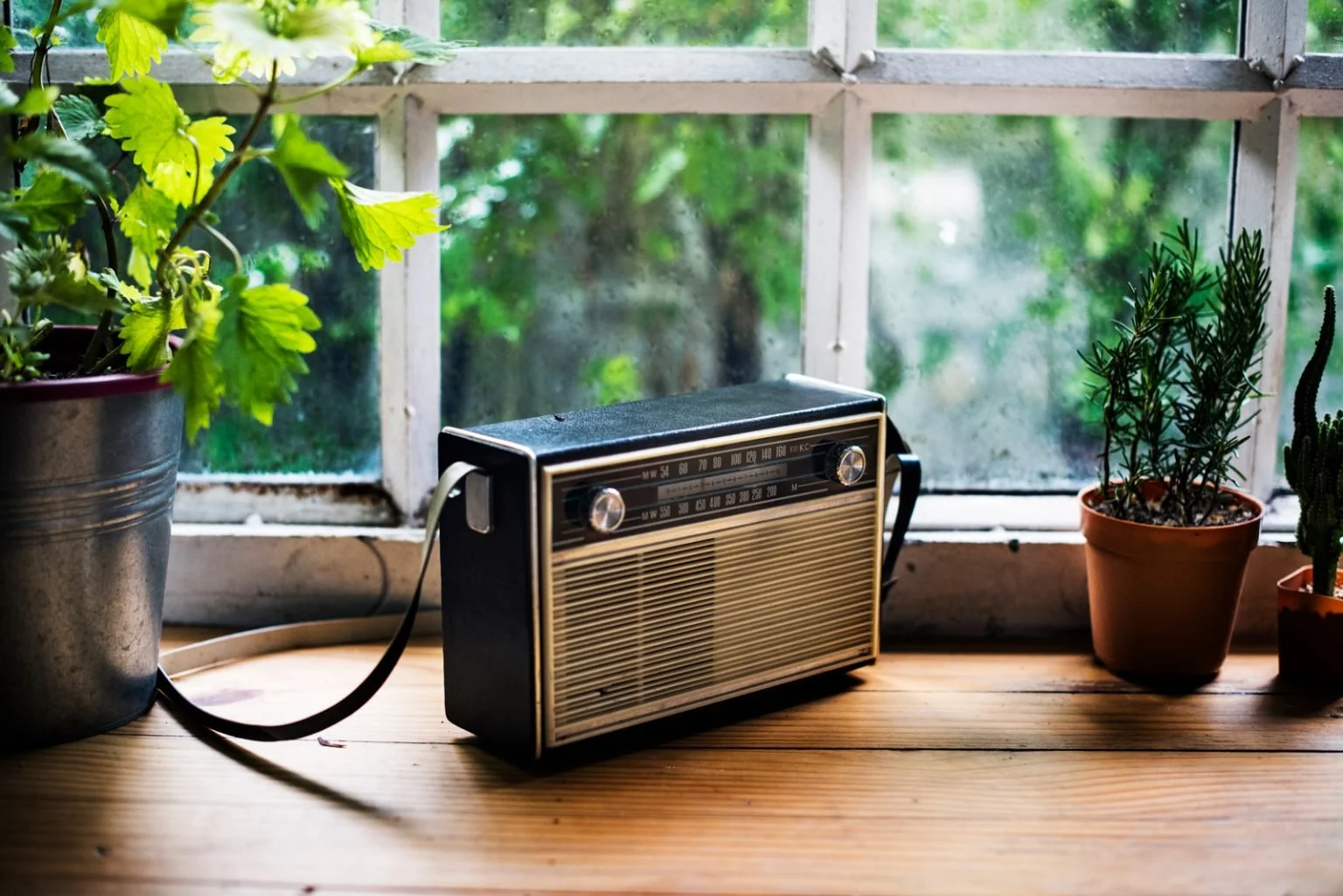 print and radio