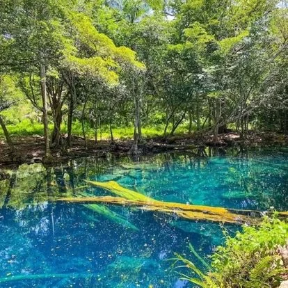 Extra Cenote