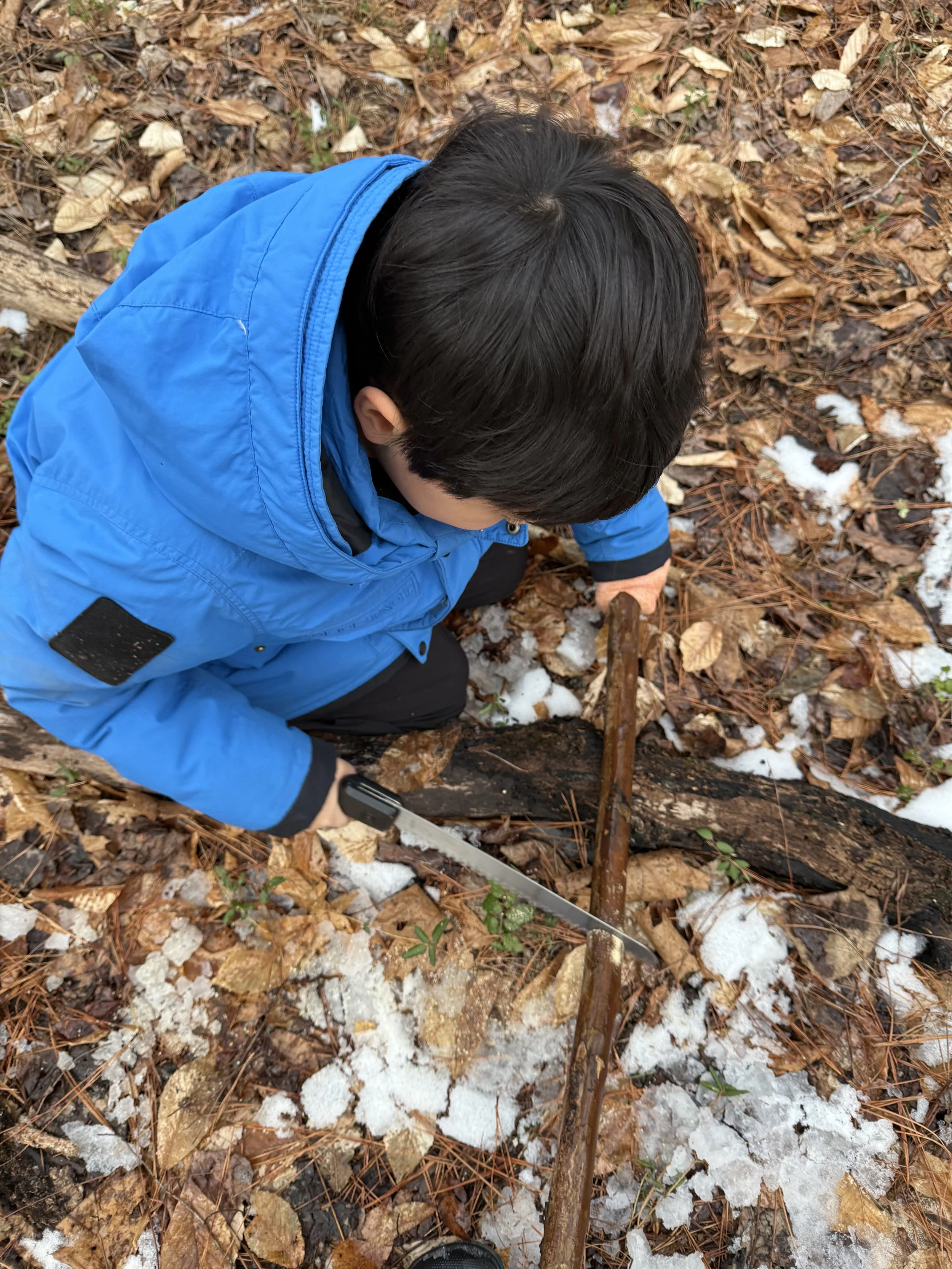 Child at earthskills forest program learning how to use a saw