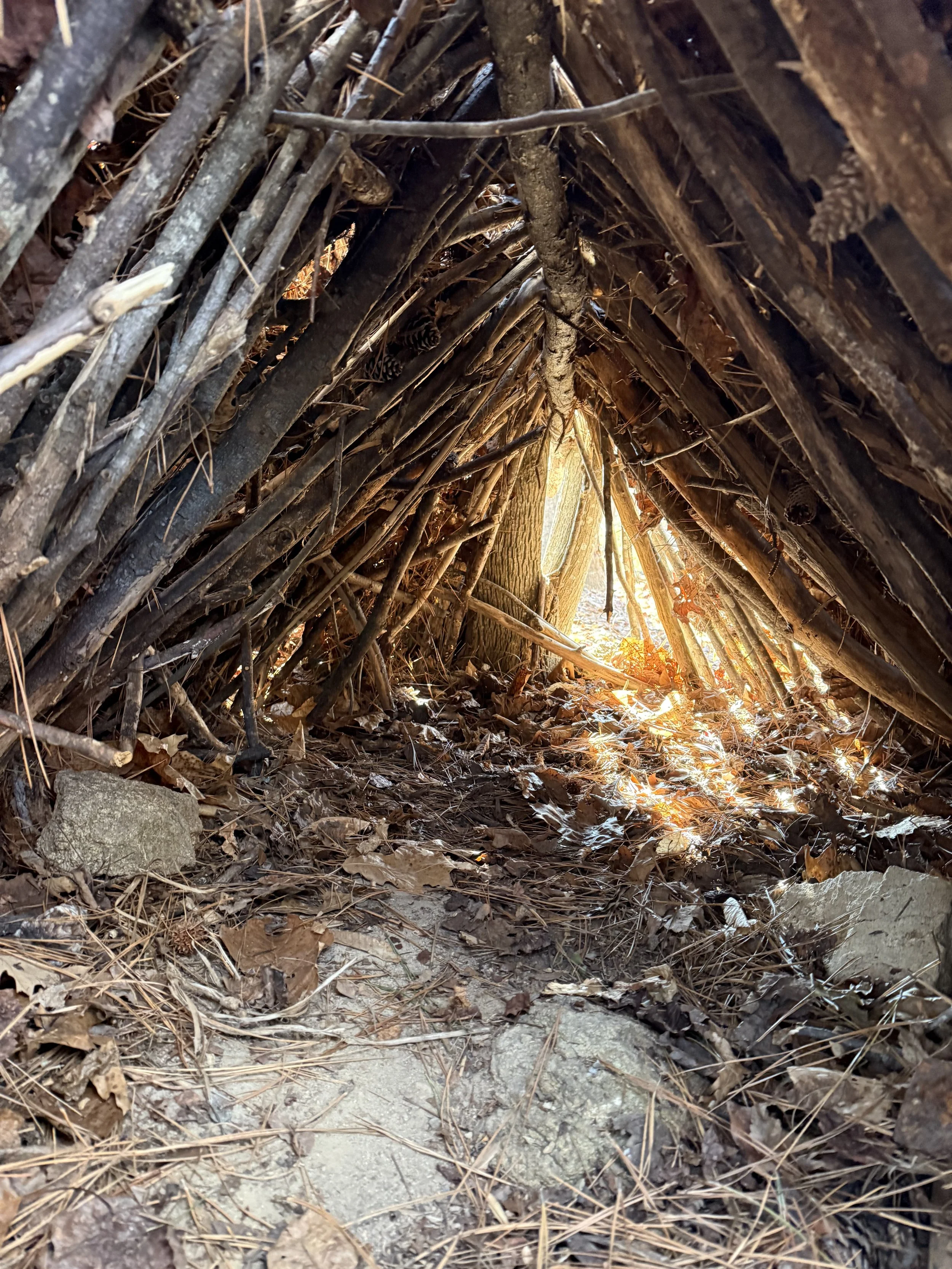 Inside of a primitive fort/shelter built by kids