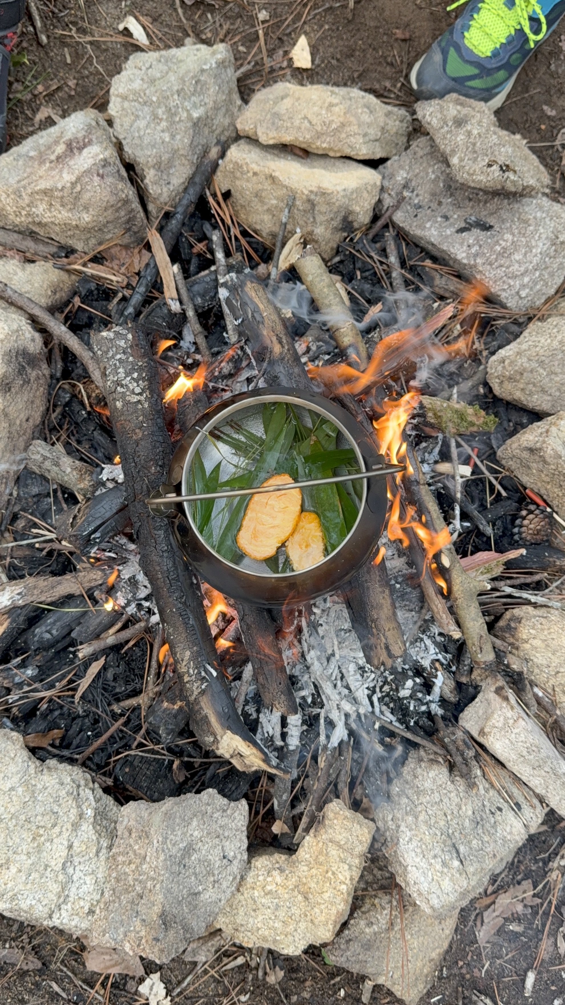 Foraged herbal tea being made over a fire