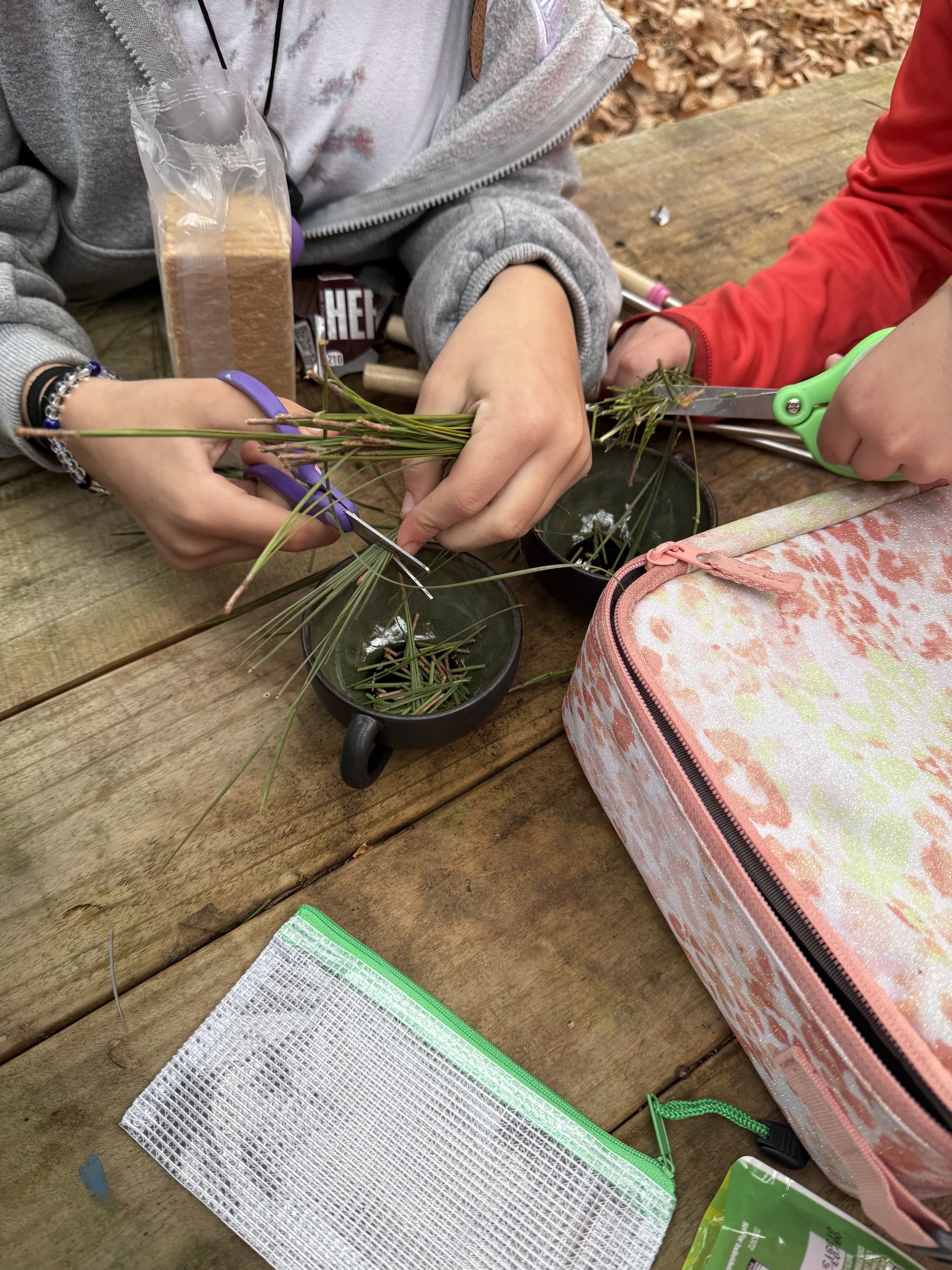 Children making foraged pine needle tea and making s'mores