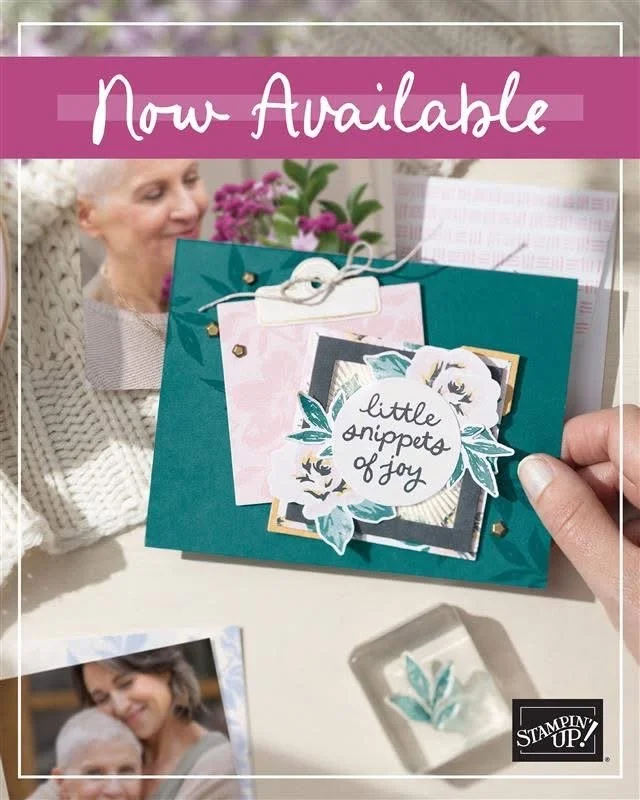 2025 Stampin' Up! Spring Mini Catalog