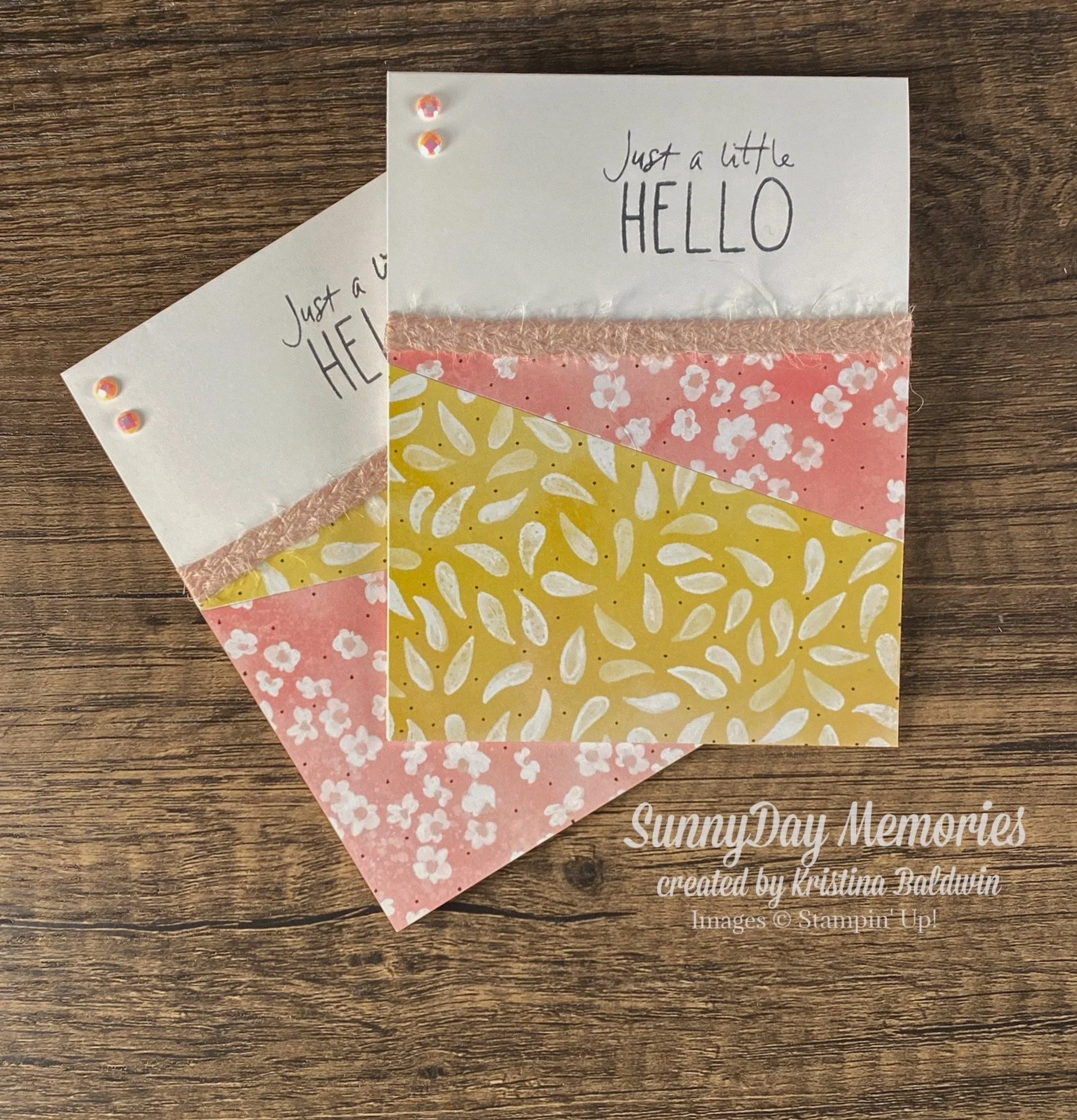 Stampin' Up! Painted Illusions Cutest Crew Cards