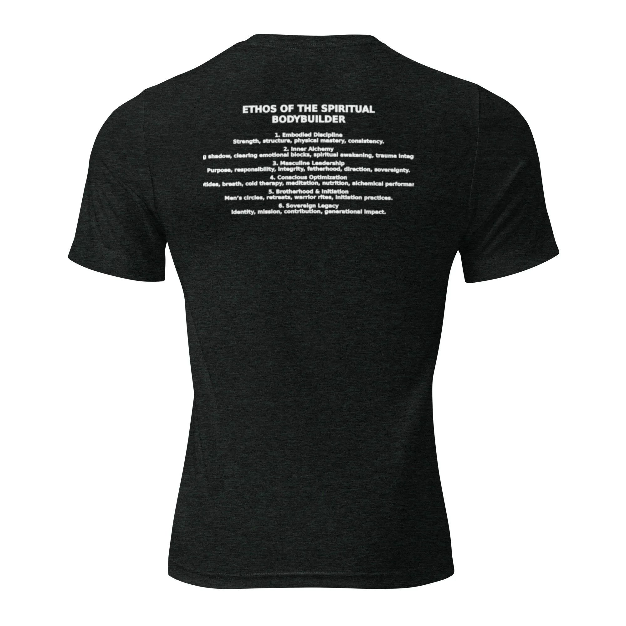 unisex-tri-blend-t-shirt-charcoal-black-triblend-back-698d2c4e75349.jpeg