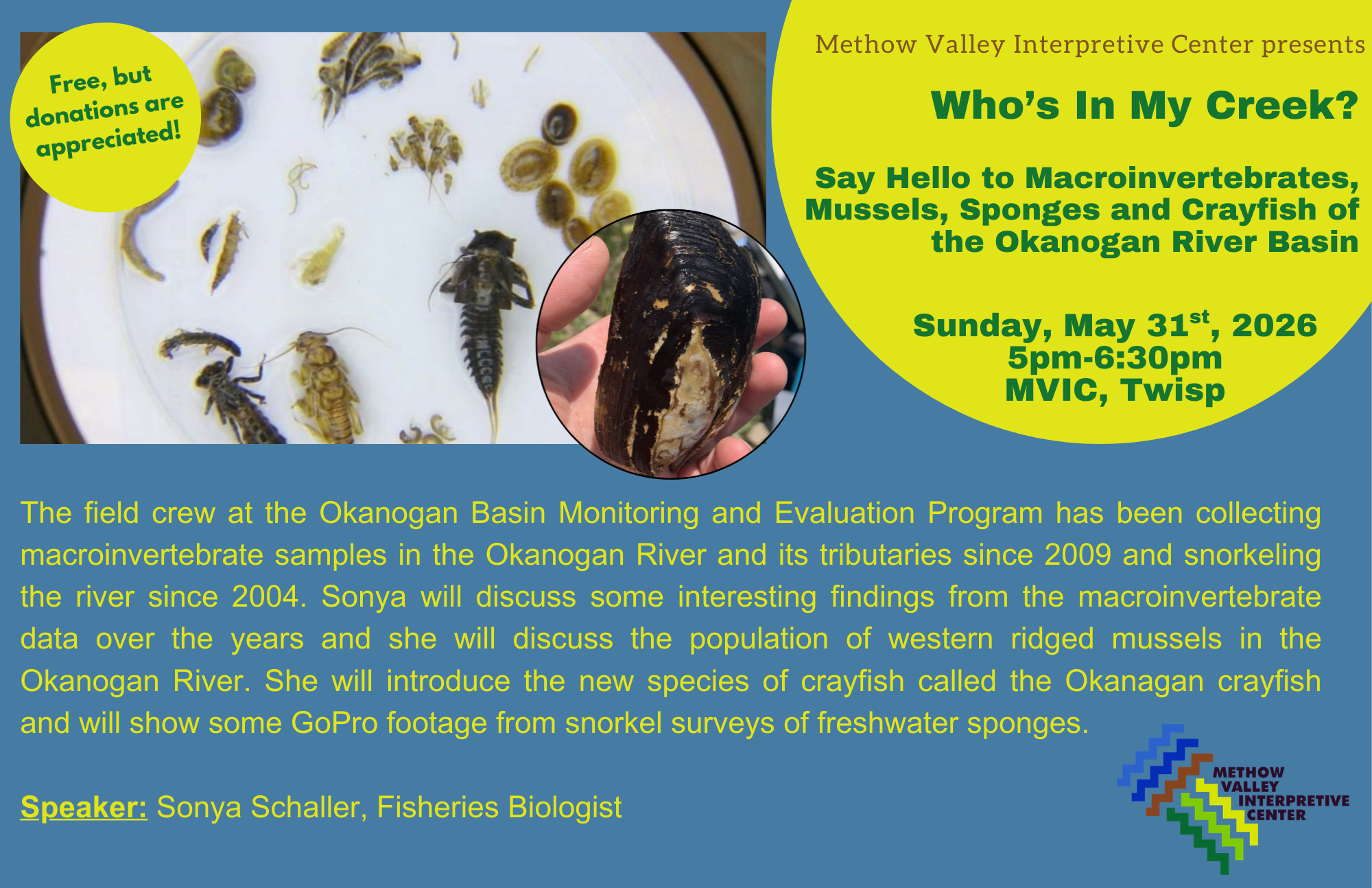 Who's In My Creek? Say Hello to Macroinvertebrates, Mussels, Sponges and Crayfish of the Okanogan River Basin