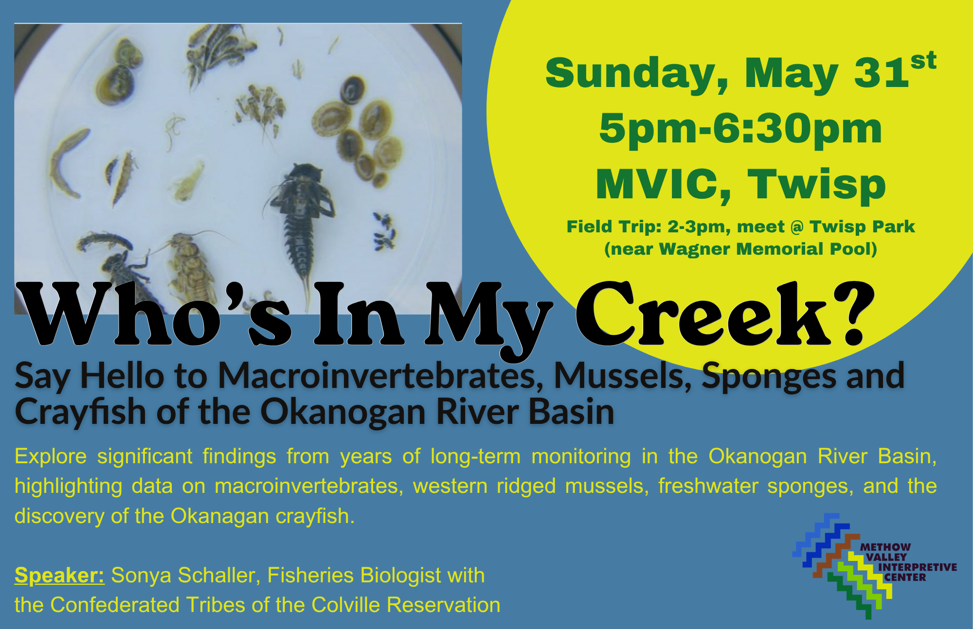 Who's In My Creek? Say Hello to Macroinvertebrates, Mussels, Sponges and Crayfish of the Okanogan River Basin