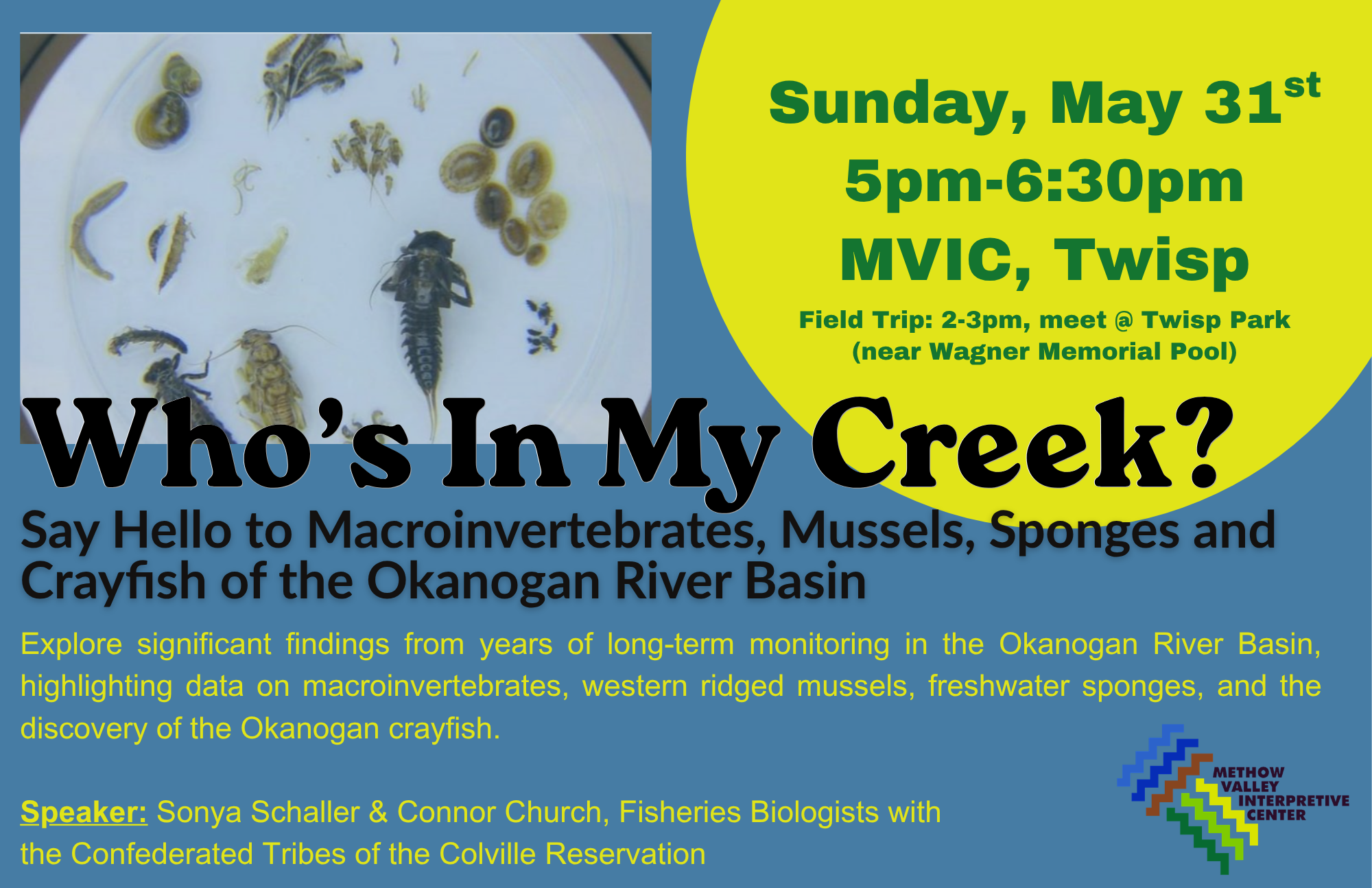 Who's In My Creek? Say Hello to Macroinvertebrates, Mussels, Sponges and Crayfish of the Okanogan River Basin