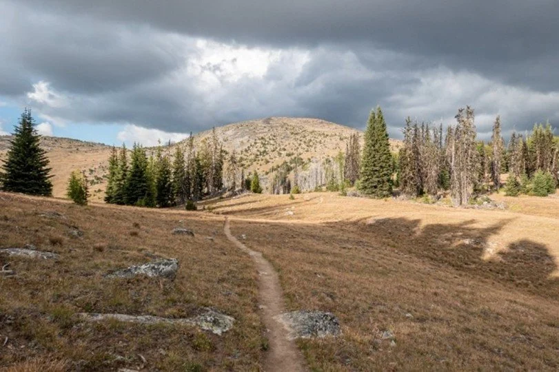 Tiffany Mountain Hike with Peter Neitlich