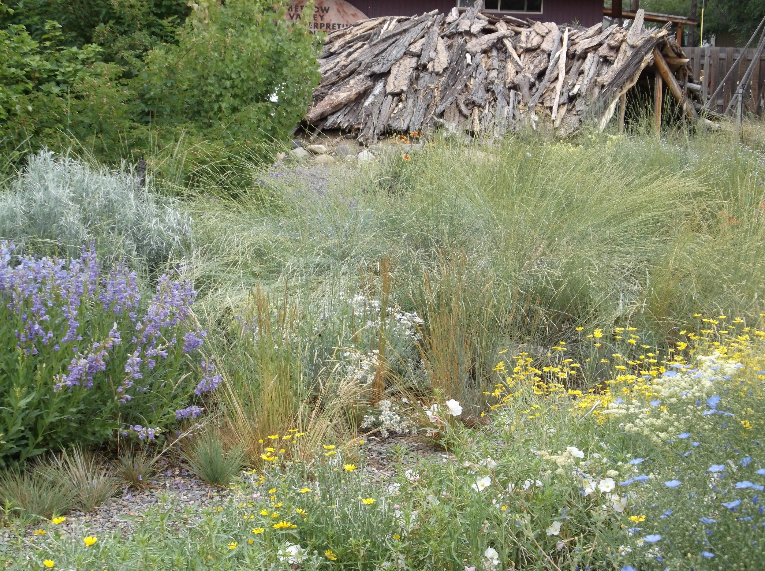 Native Garden Work Party!