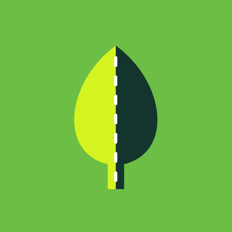 Une illustration d'une feuille stylisée divisée en deux moitiés, une verte lime claire et l'autre vert foncé, avec un fond vert