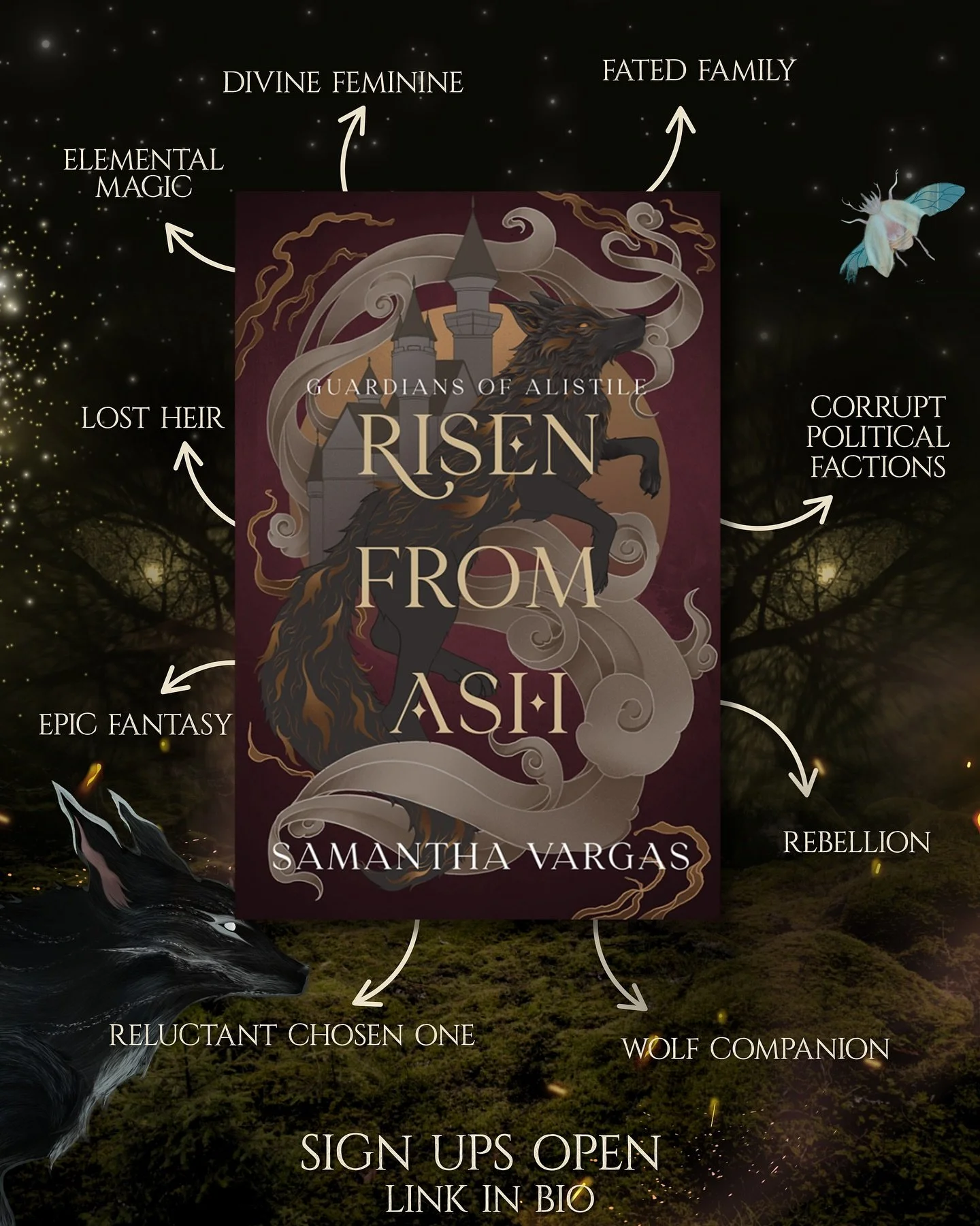 dians of Alistile: Risen from Ash - Book 1 - Coming December 2025

&ldquo;What do you want, Little Flame?&rdquo;
It was a question Kienna never dared to ask.
Raised behind the impenetrable Orb of River Storm, Kienna is destined to serve and protect h