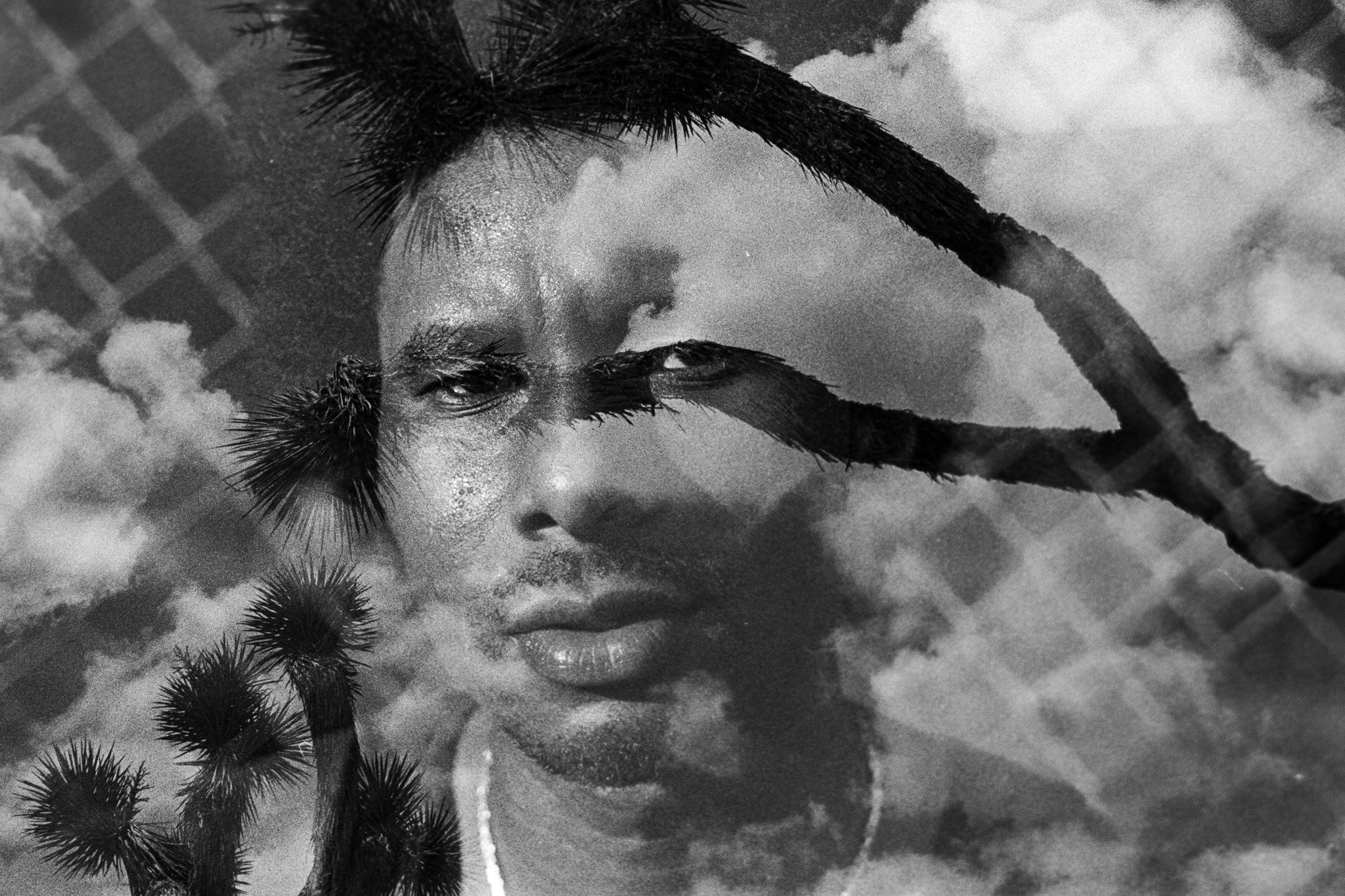 Joshua Tree Double Exposed Portraits-18.jpg