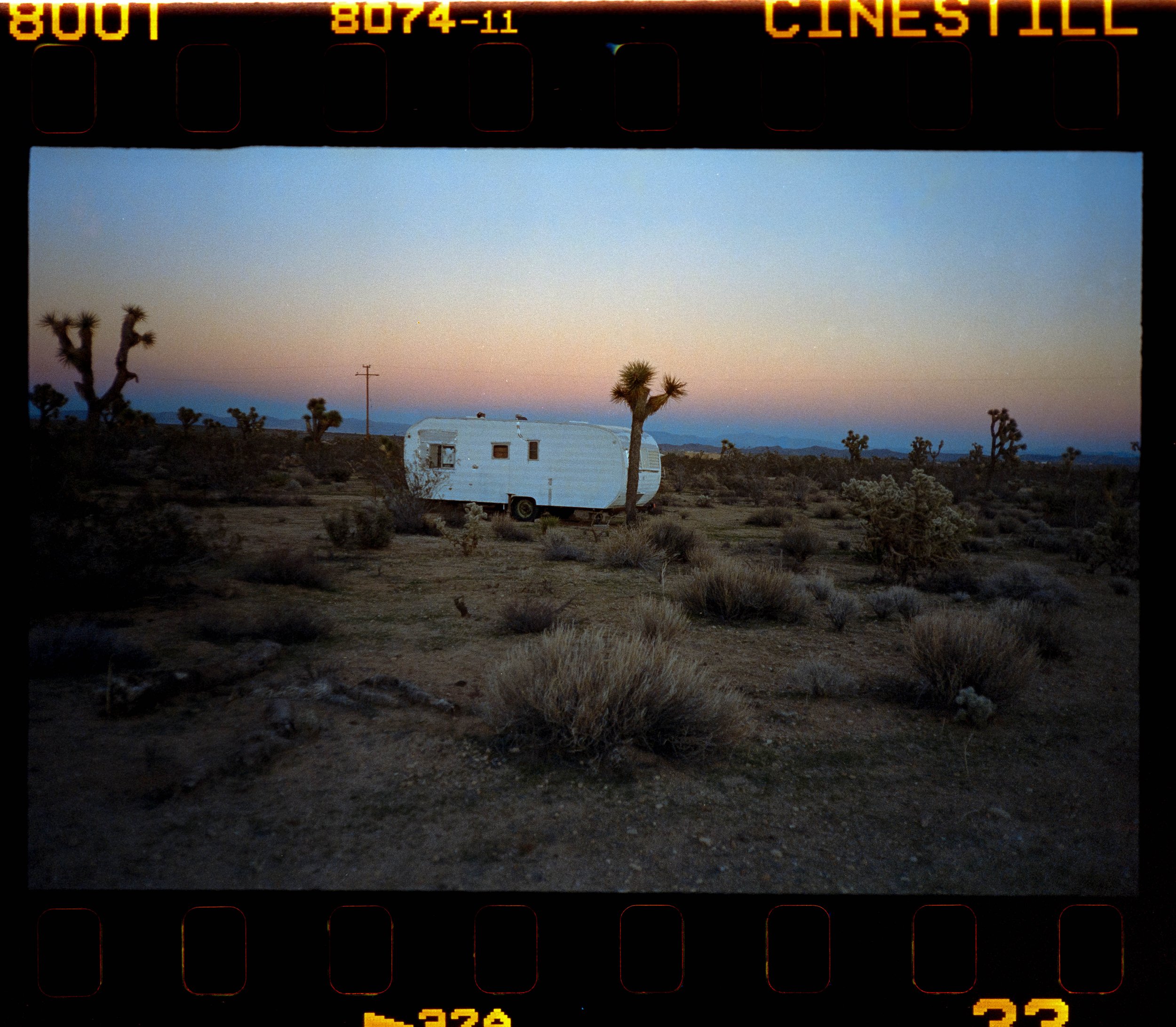 Joshua Tree-34.jpg