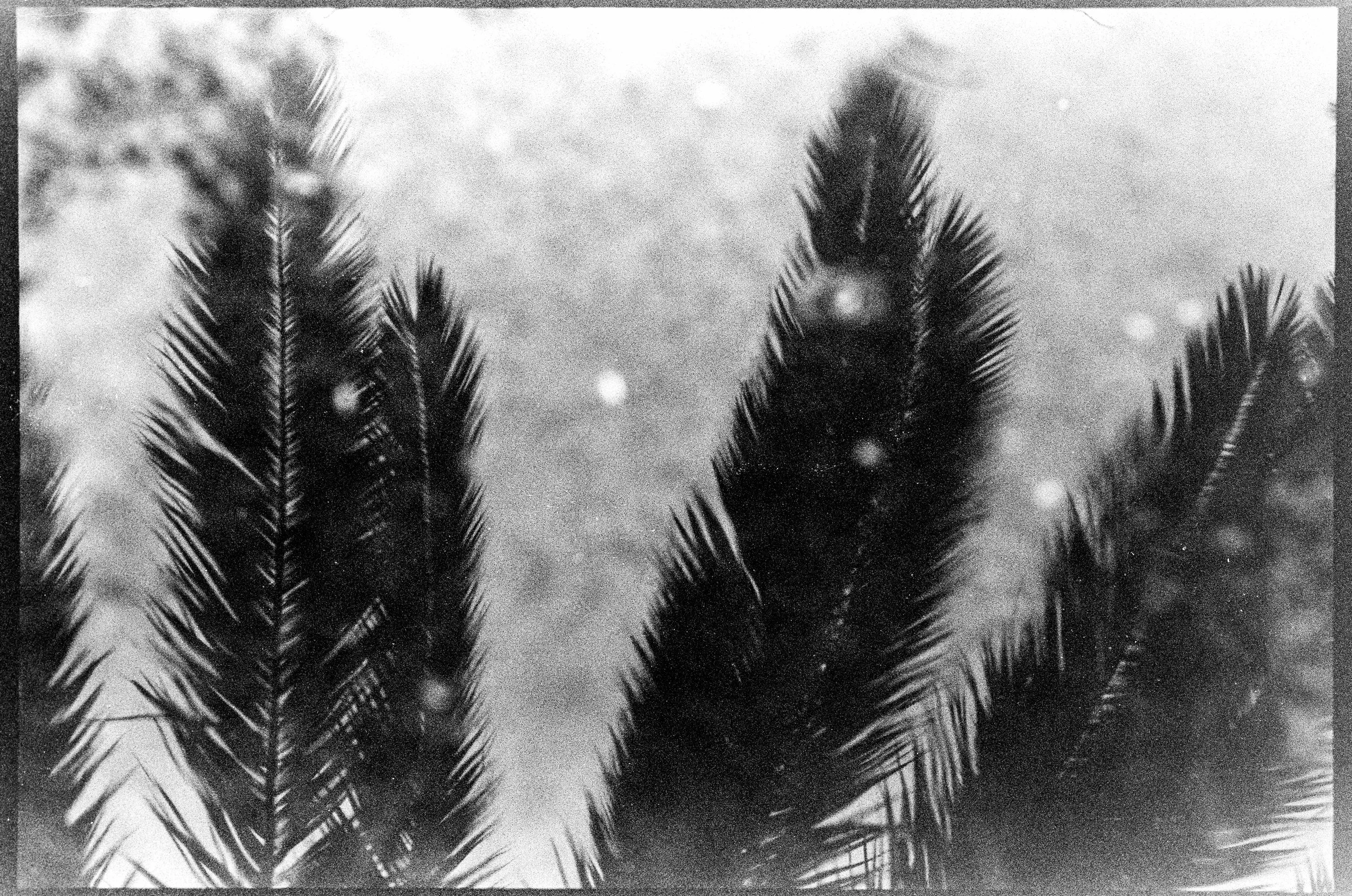 Neighborhood in the Rain-2.jpg