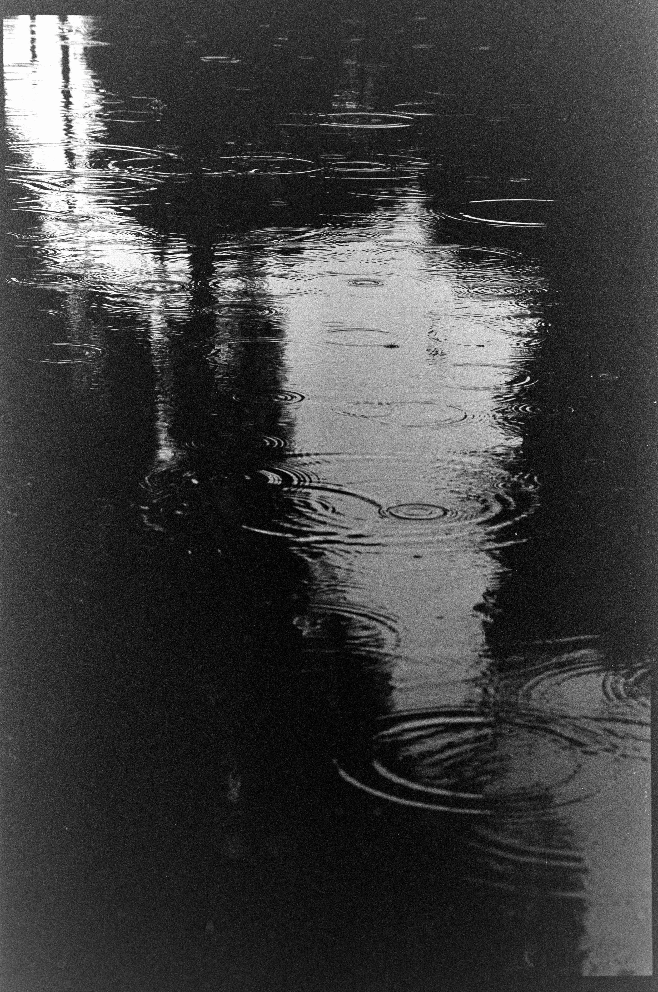 Neighborhood in the Rain-22.jpg