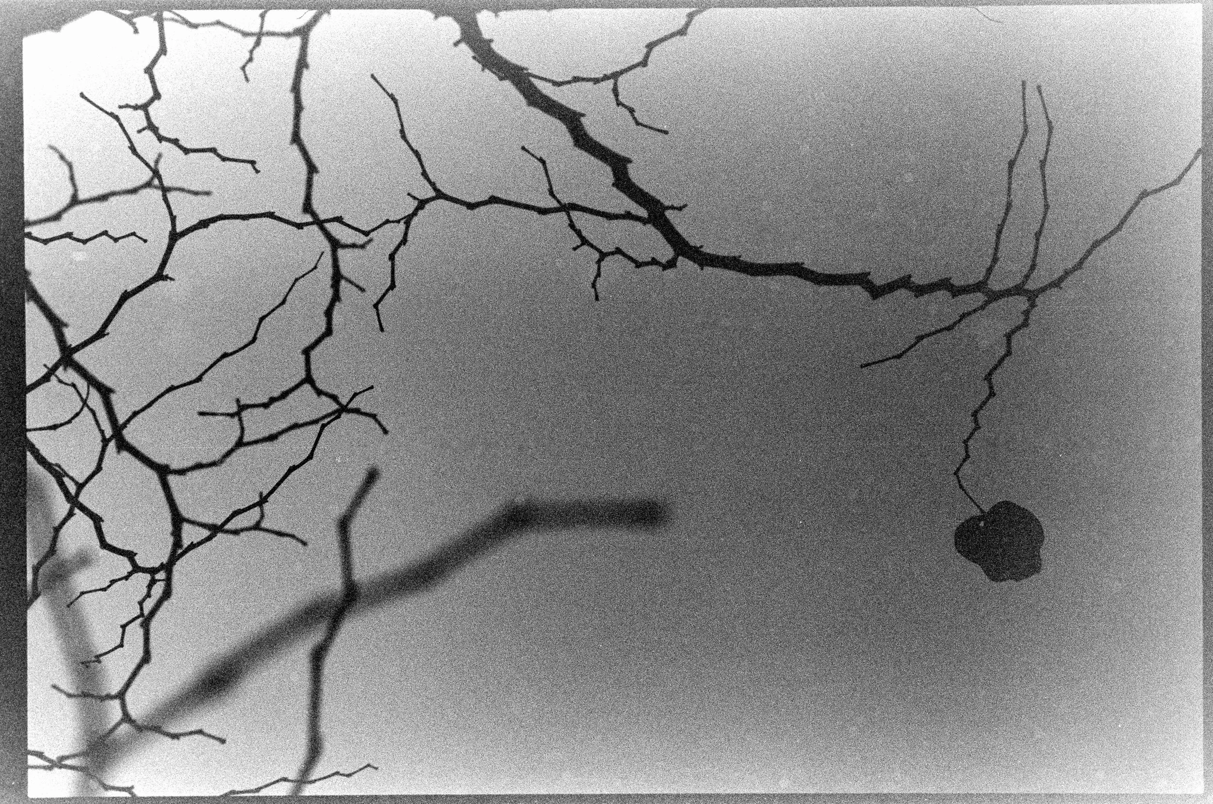 Neighborhood in the Rain-30.jpg