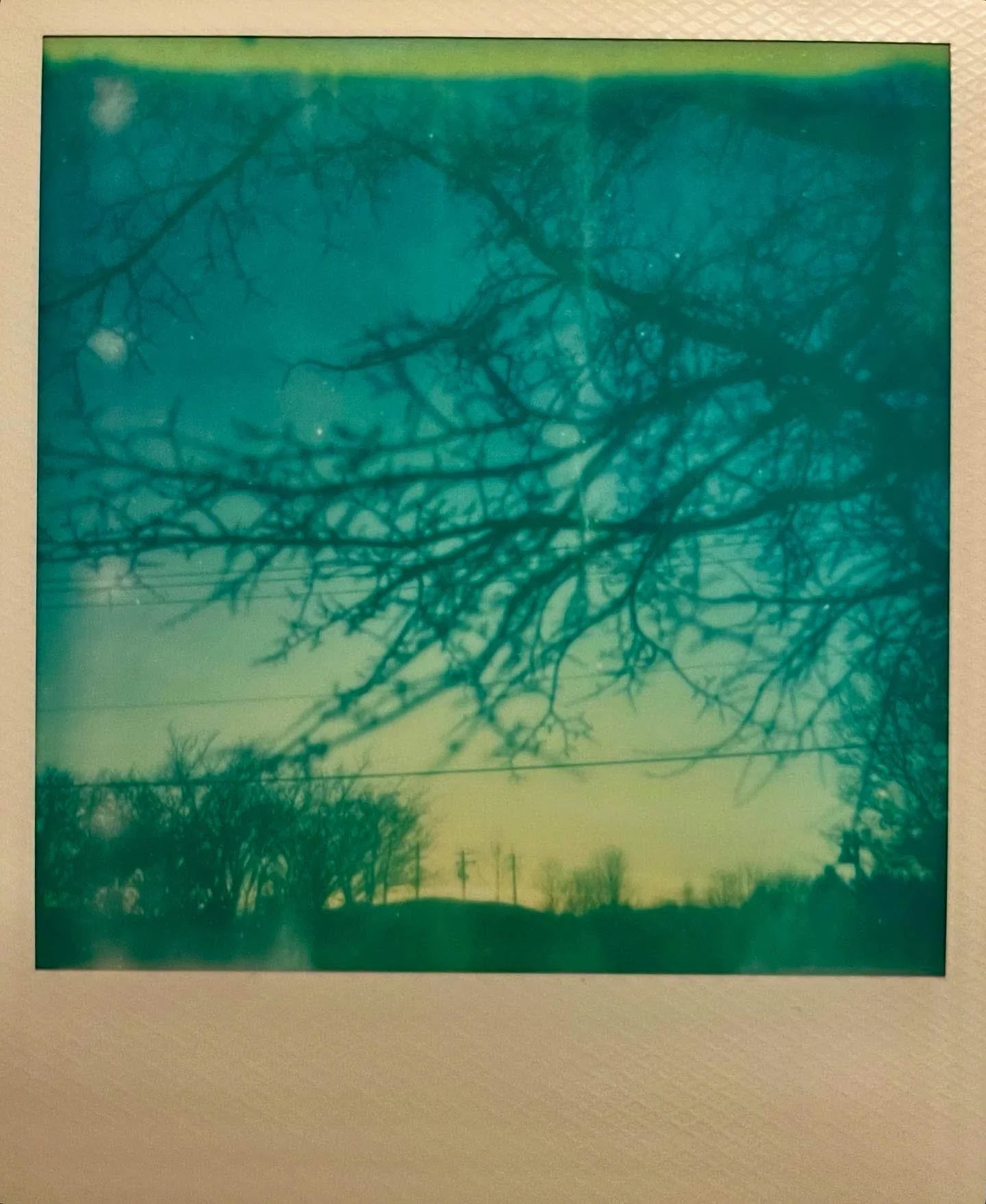 Polaroids-9.jpg
