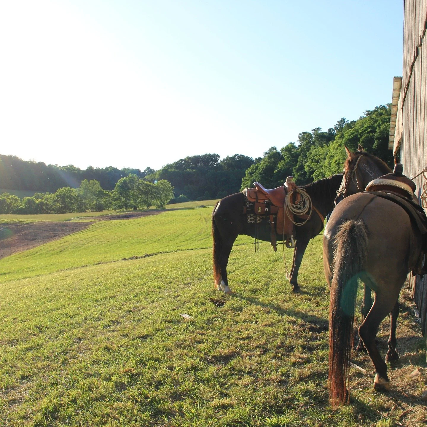 We&rsquo;re so excited to share the launch of Snow Creek Ranch Ministries!
Nestled on beautiful Tennessee land, our future ranch will offer a space where individuals and families can gather, find rest, and experience renewal through the hope of Jesus