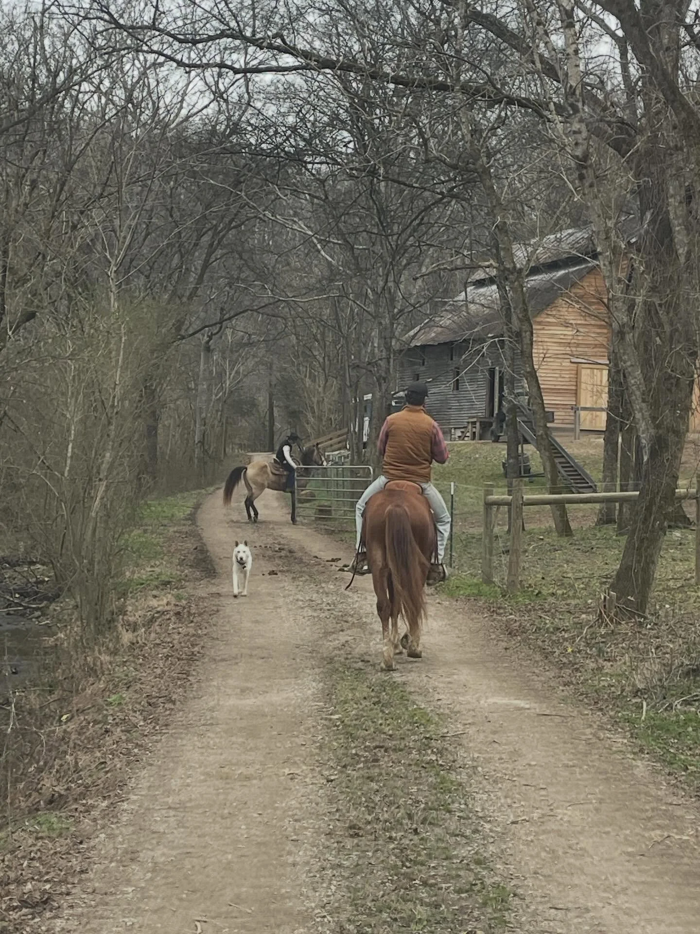 Snow Creek Ranch on a grey and rainy day. 🌧️

#ranch 
#snowcreekranch 
#snowcreekranchministries 
#ministry
#ranchlife